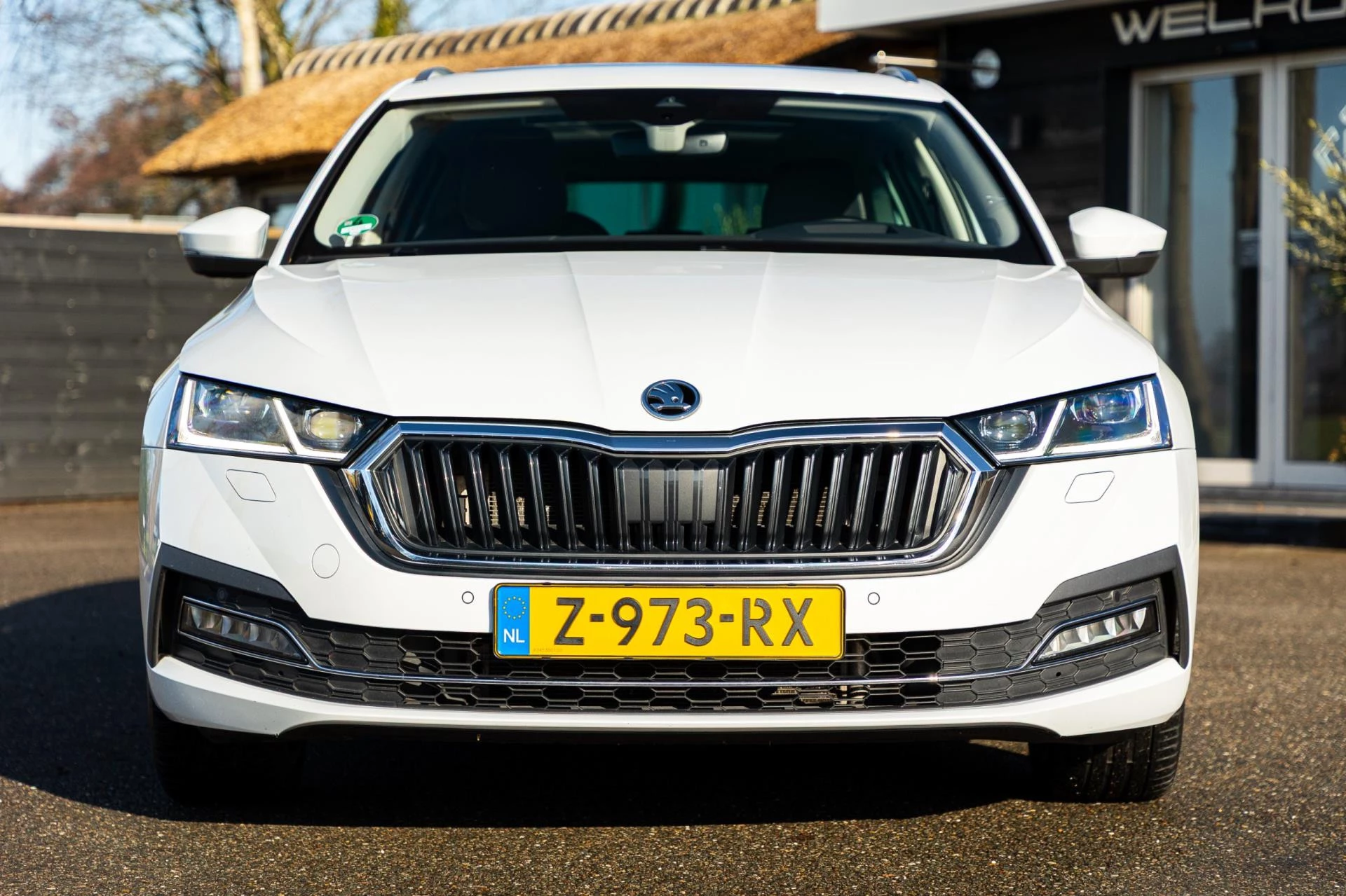 Hoofdafbeelding Škoda Octavia