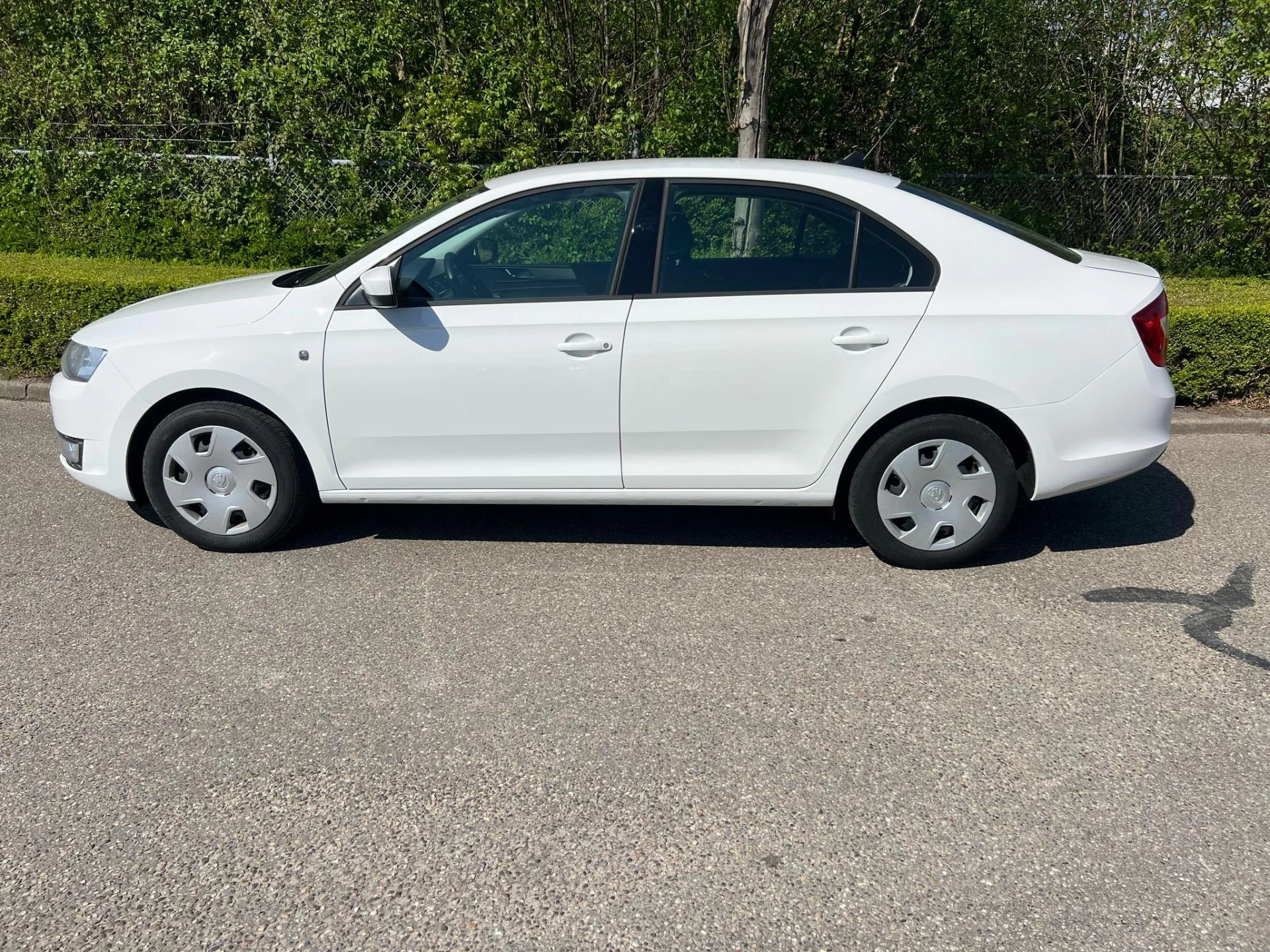 Hoofdafbeelding Škoda Rapid