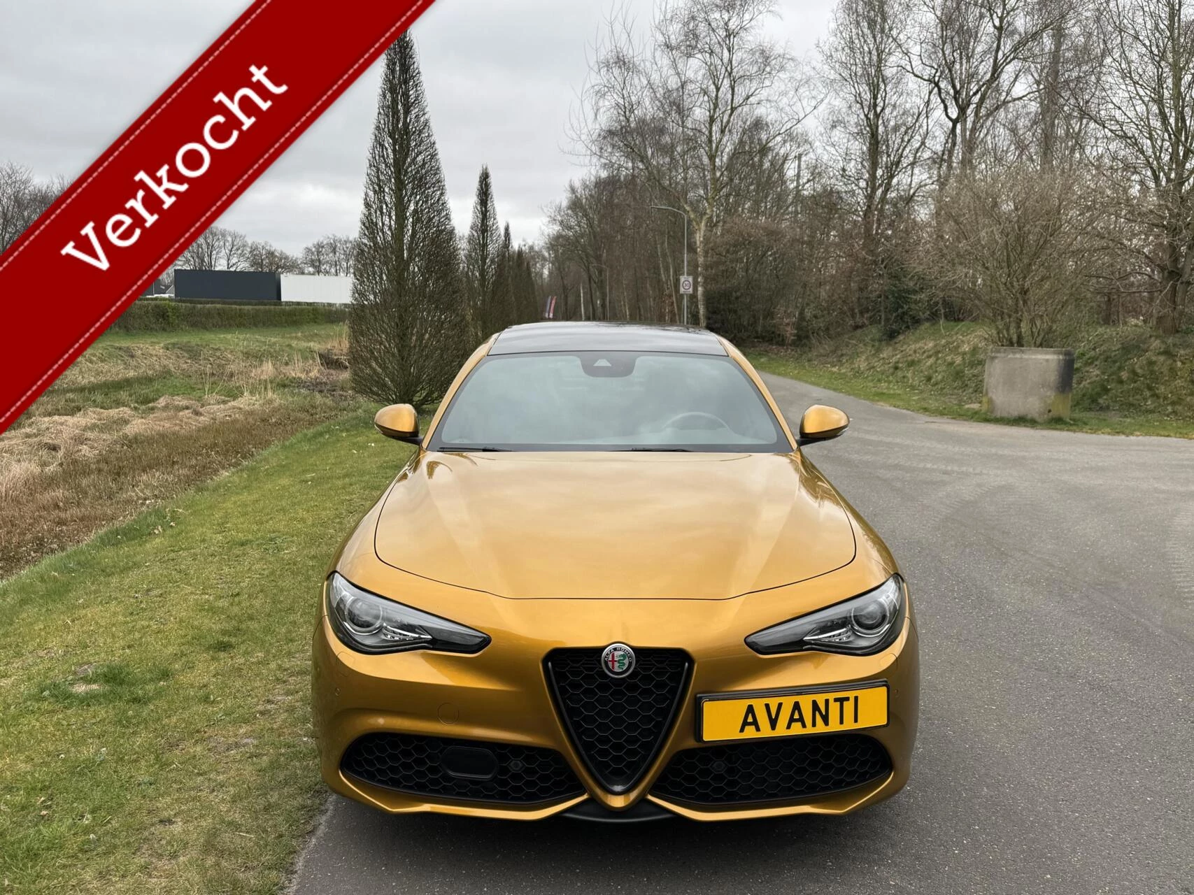 Hoofdafbeelding Alfa Romeo Giulia