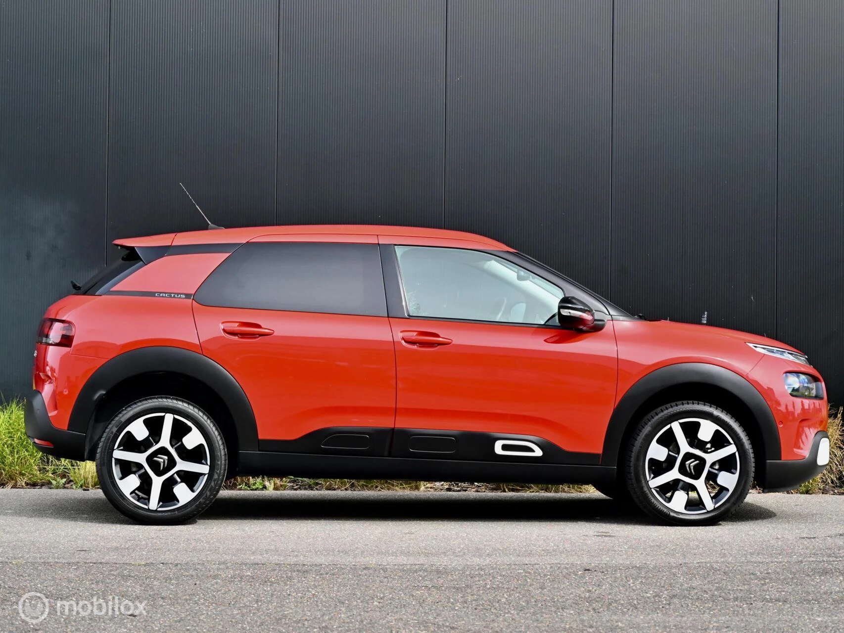 Hoofdafbeelding Citroën C4 Cactus