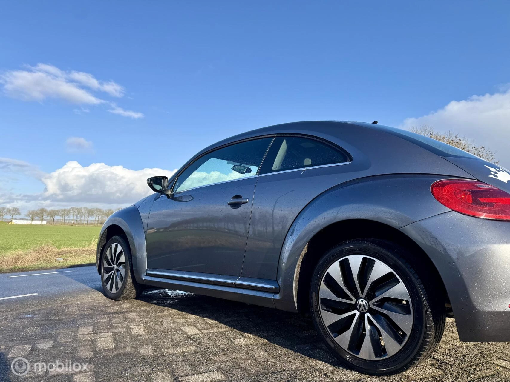 Hoofdafbeelding Volkswagen Beetle