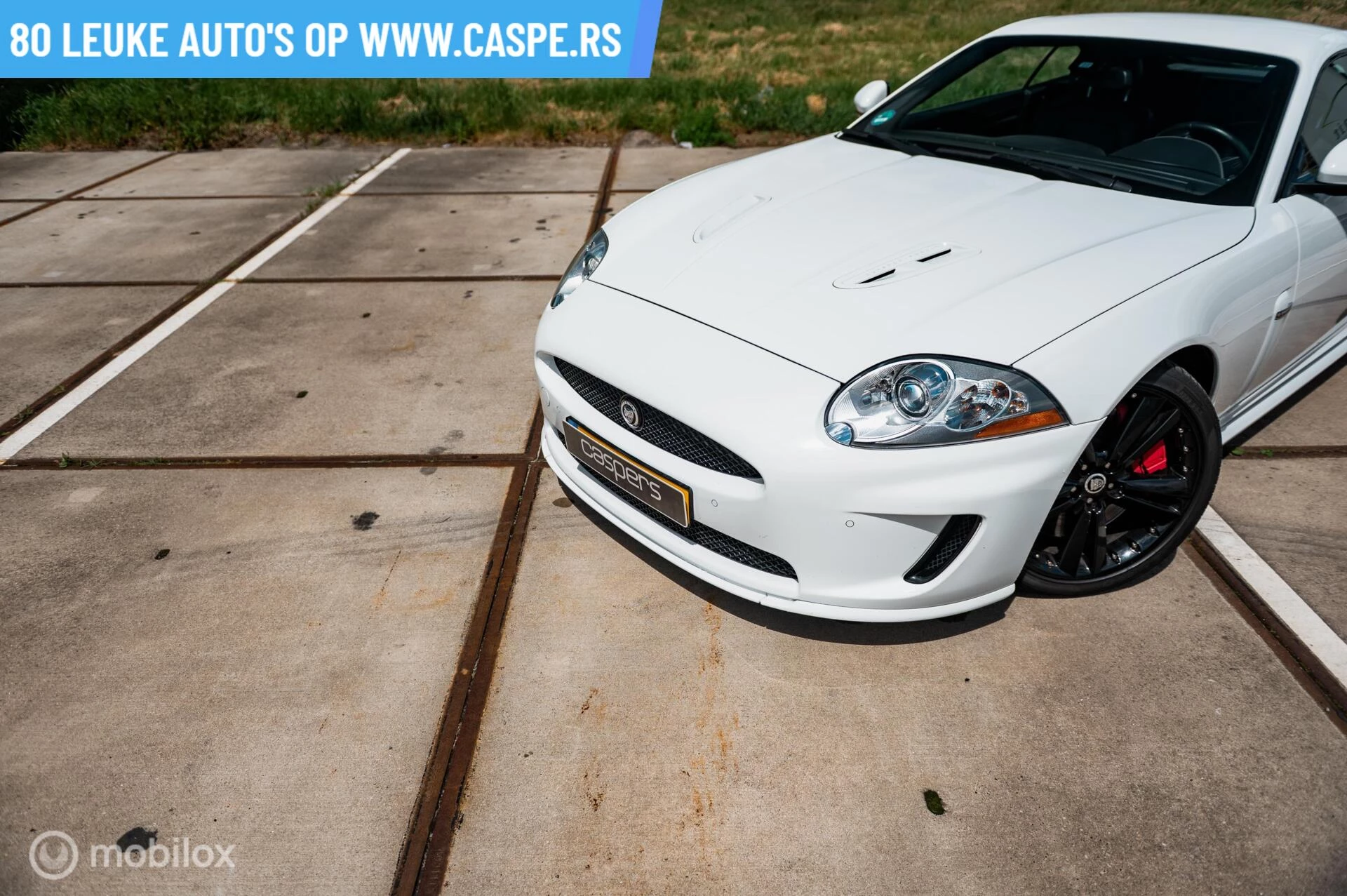 Hoofdafbeelding Jaguar XK
