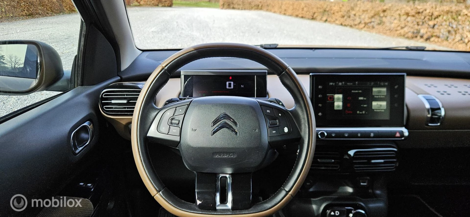 Hoofdafbeelding Citroën C4 Cactus