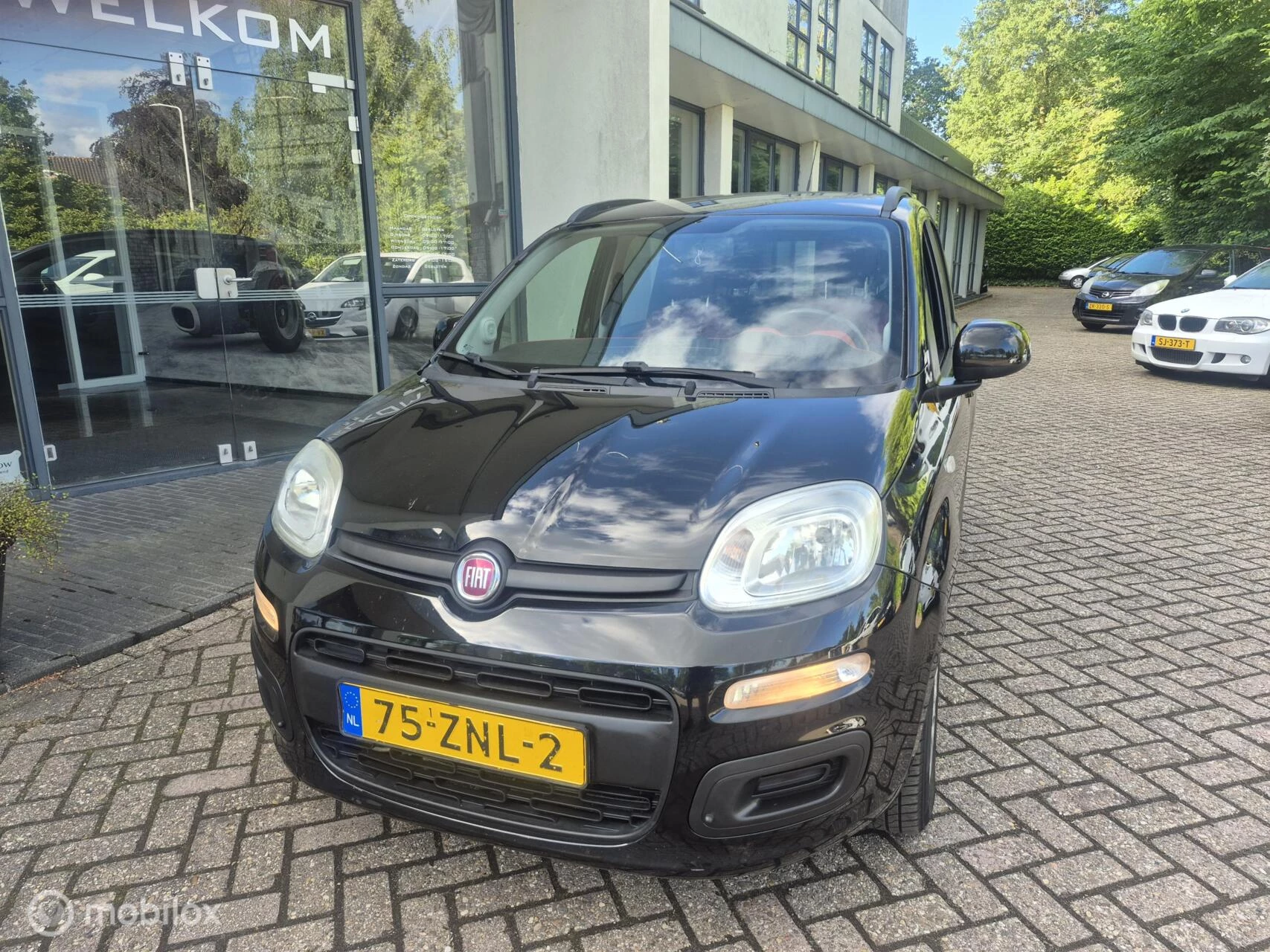 Hoofdafbeelding Fiat Panda