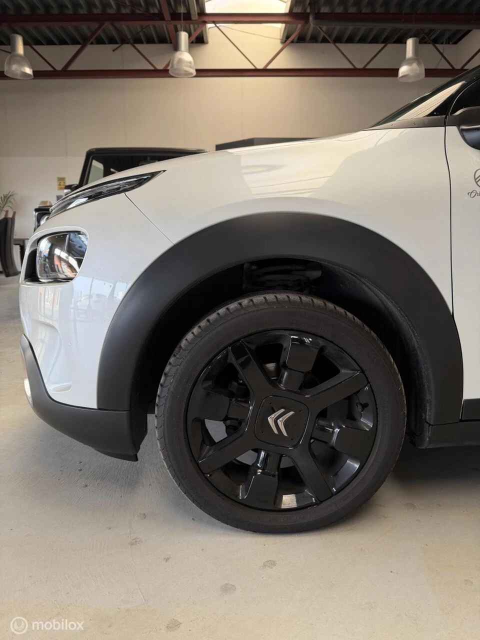 Hoofdafbeelding Citroën C4 Cactus