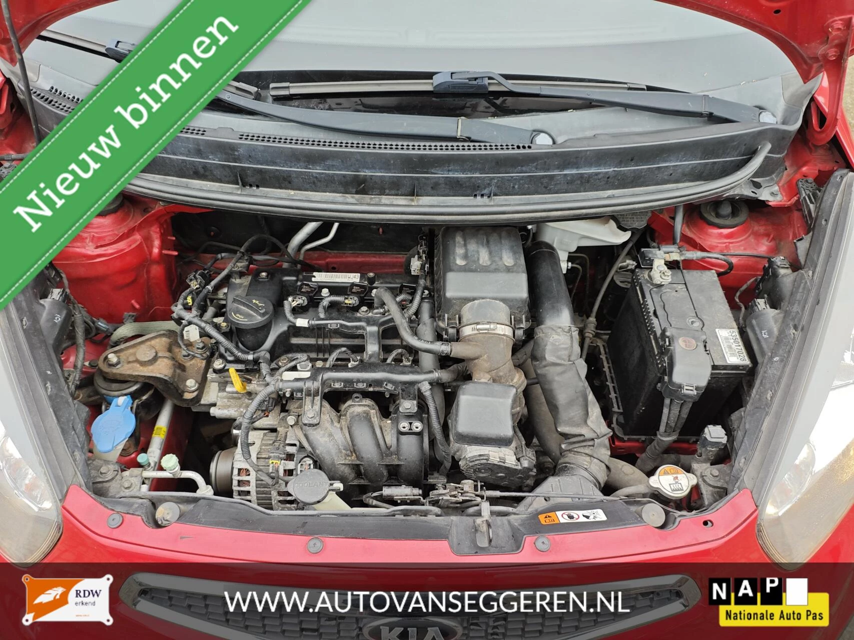 Hoofdafbeelding Kia Picanto