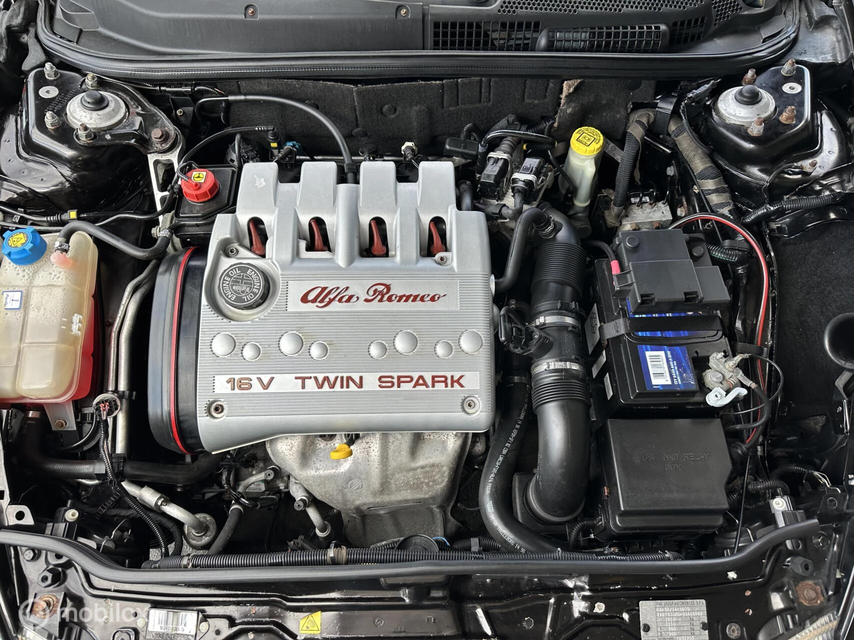 Hoofdafbeelding Alfa Romeo GT