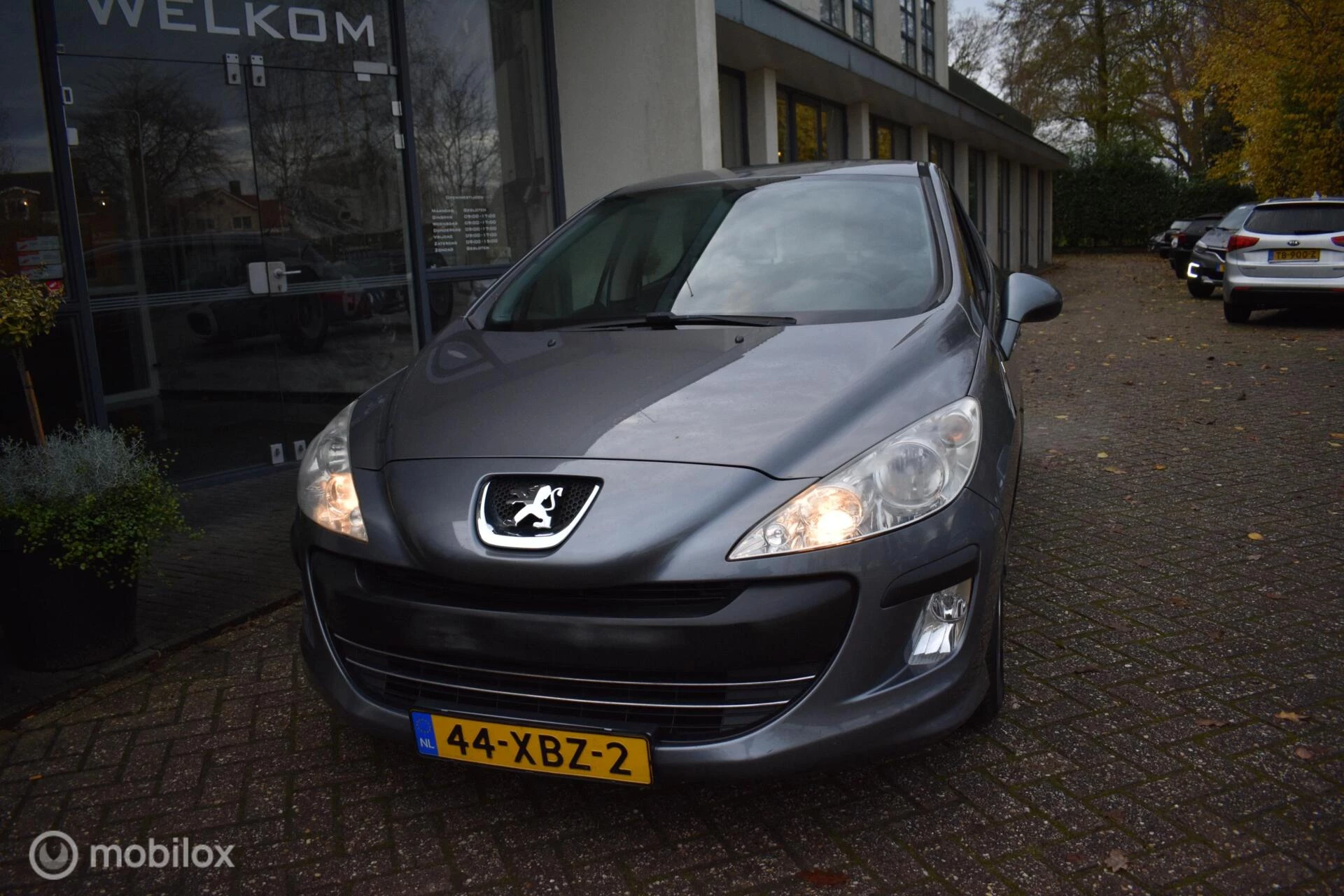 Hoofdafbeelding Peugeot 308