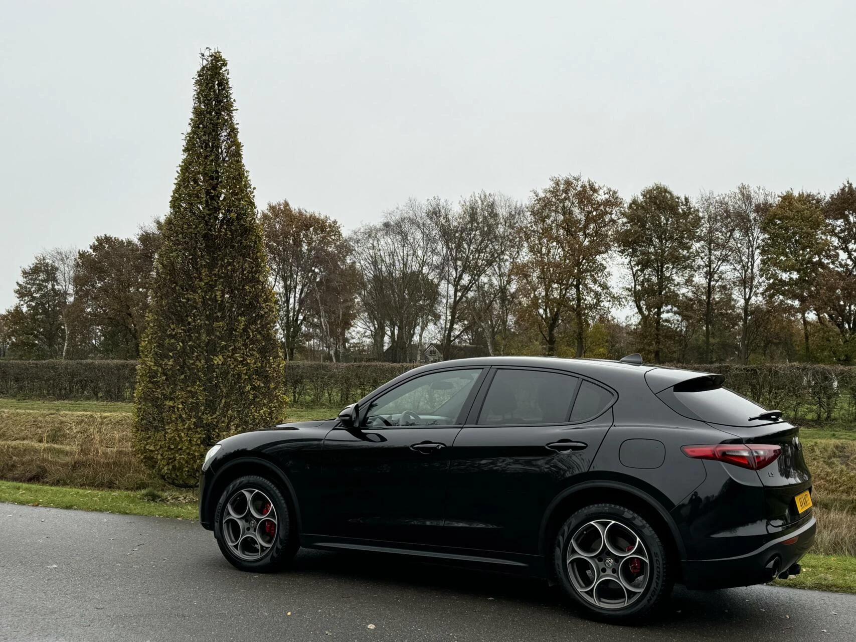 Hoofdafbeelding Alfa Romeo Stelvio