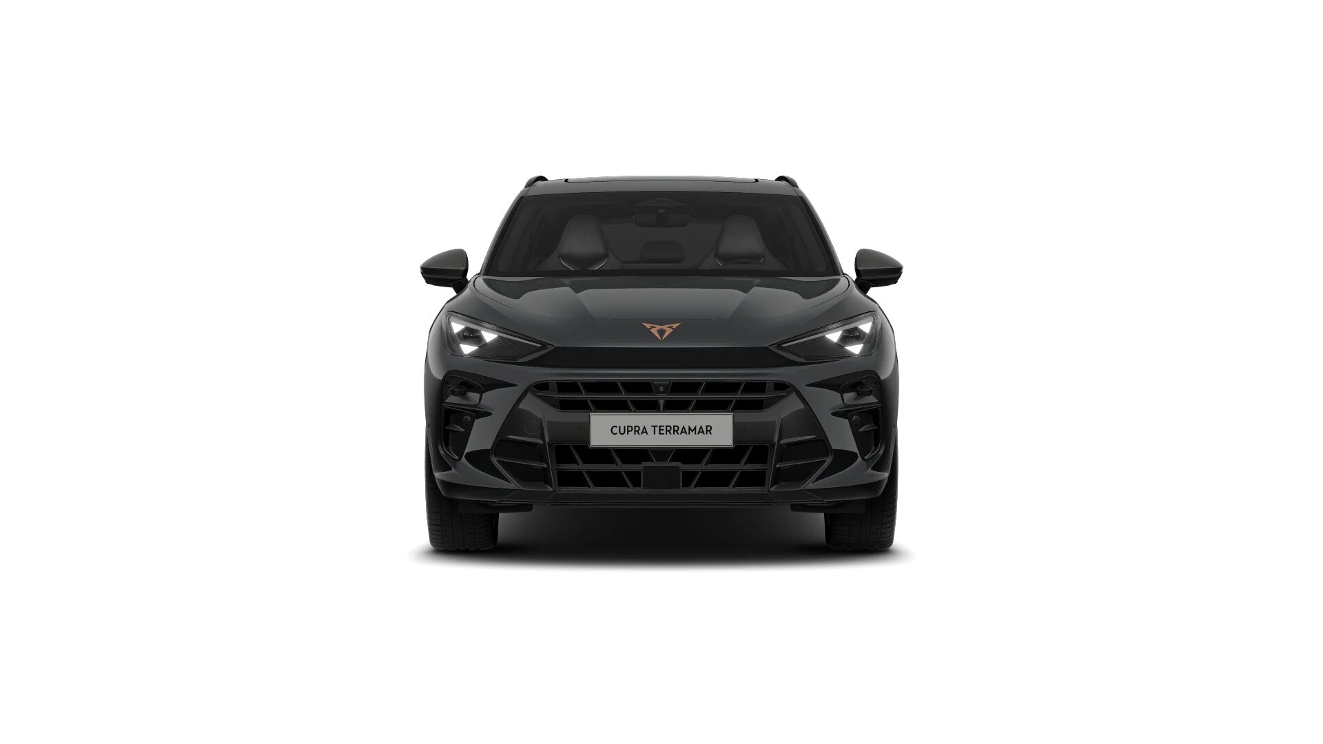 Hoofdafbeelding CUPRA Terramar