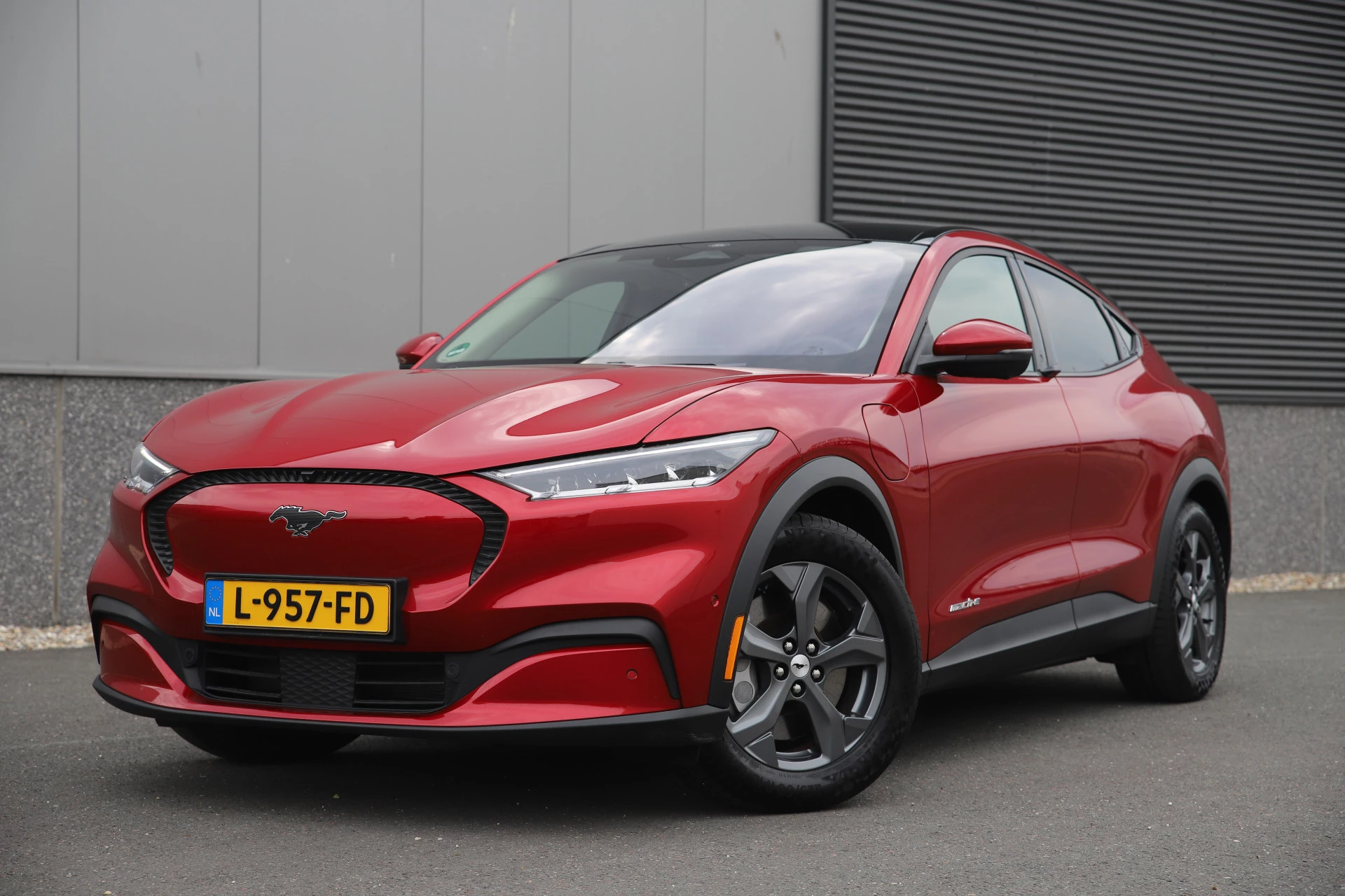 Hoofdafbeelding Ford Mustang Mach-E