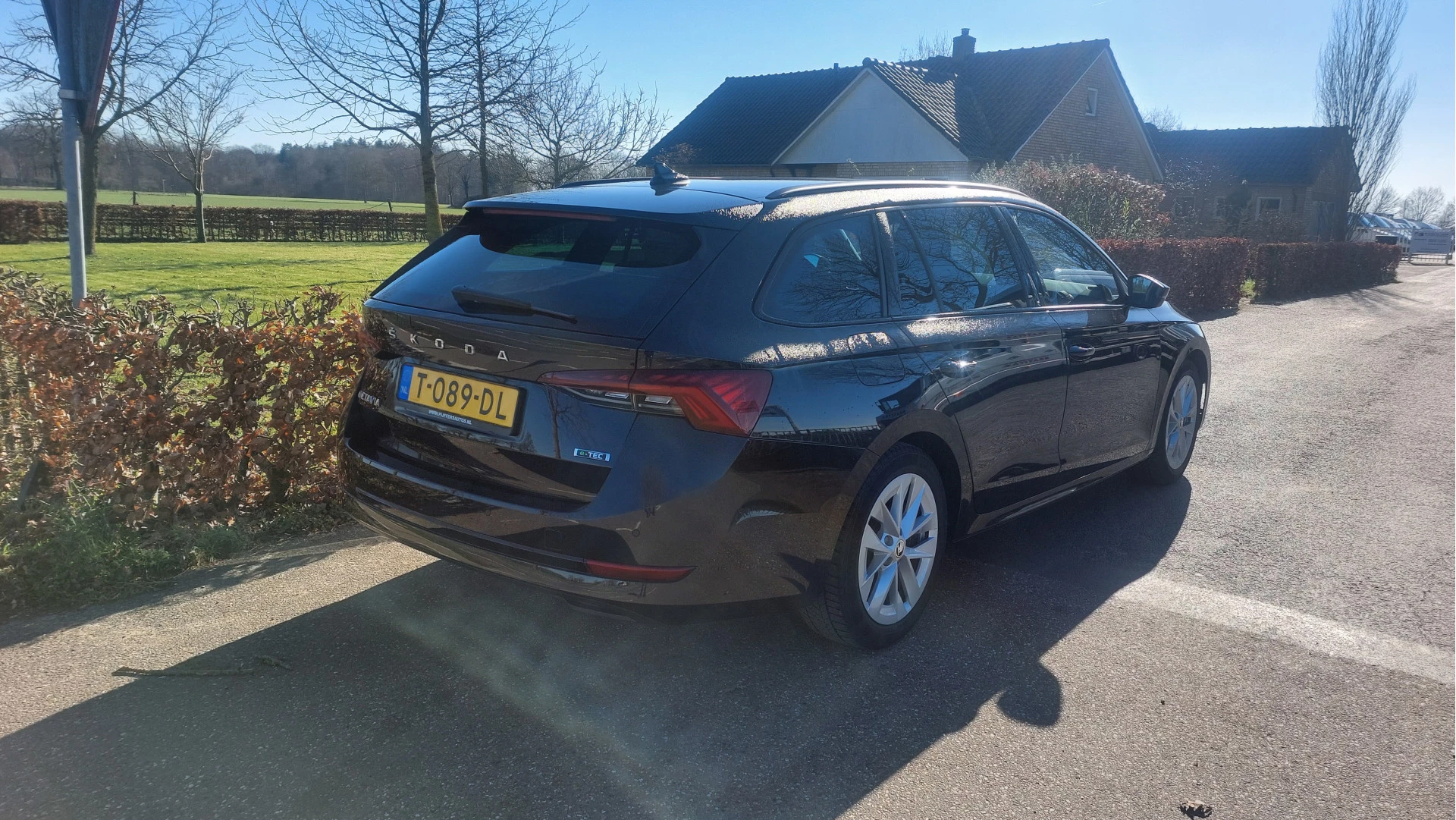 Hoofdafbeelding Škoda Octavia