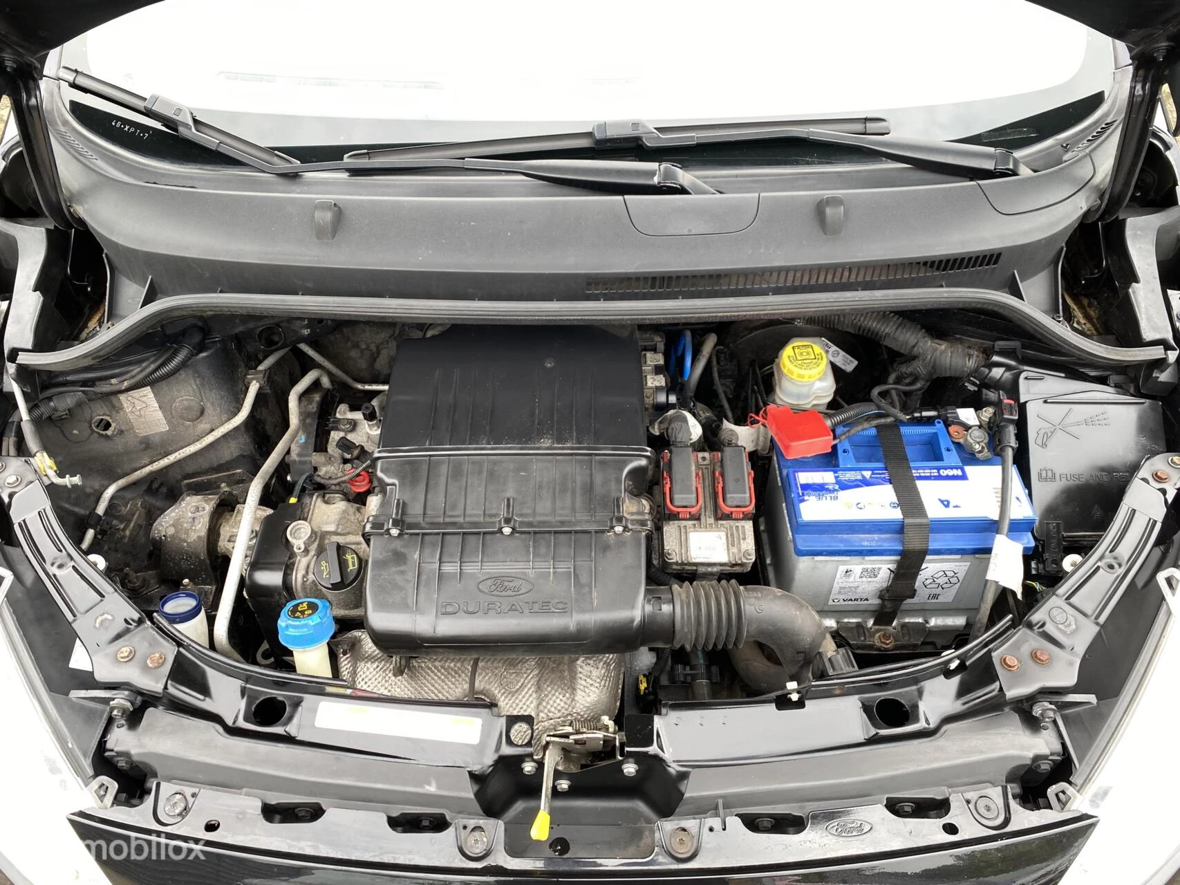Hoofdafbeelding Ford Ka