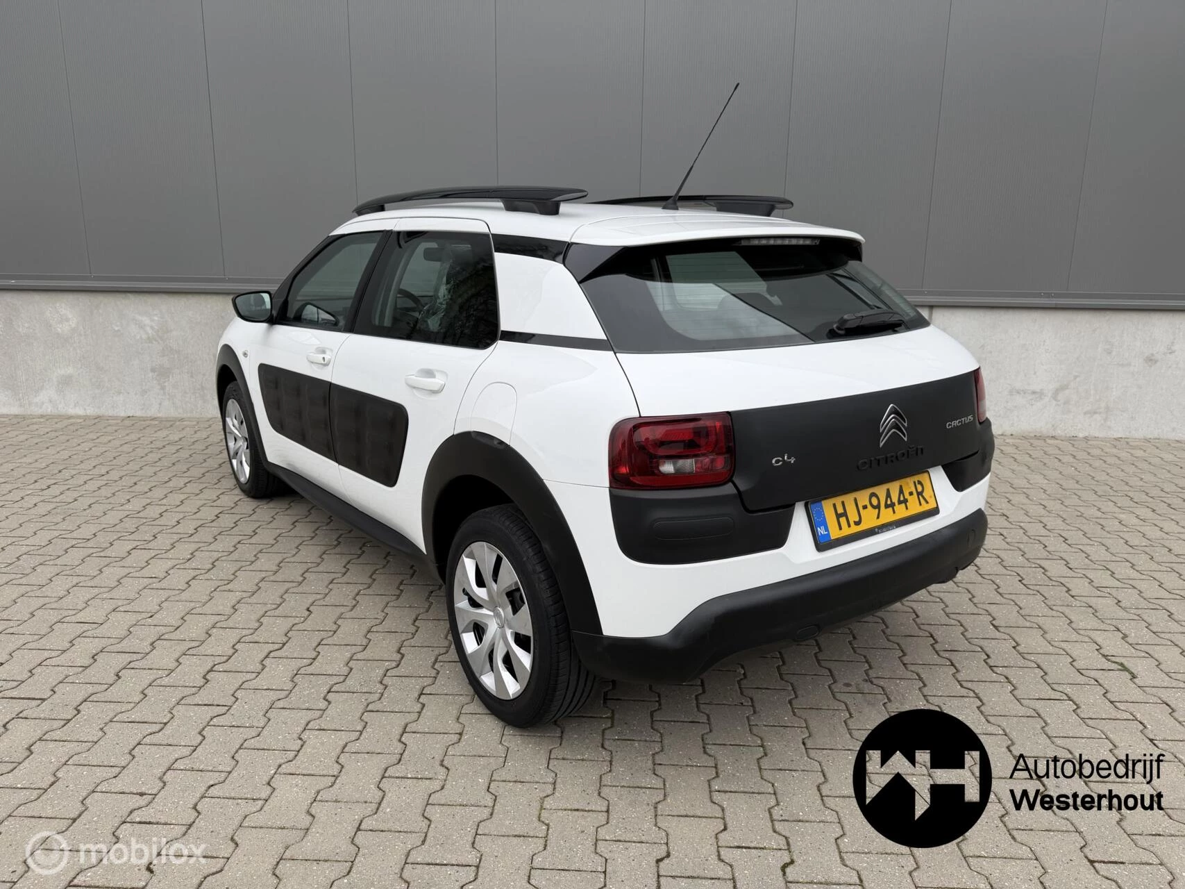 Hoofdafbeelding Citroën C4 Cactus