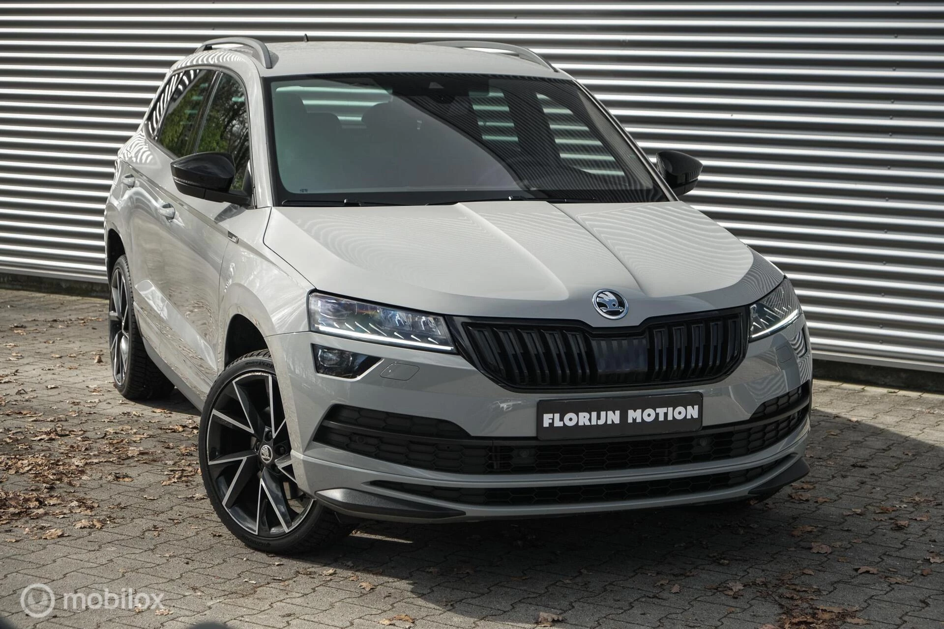 Hoofdafbeelding Škoda Karoq