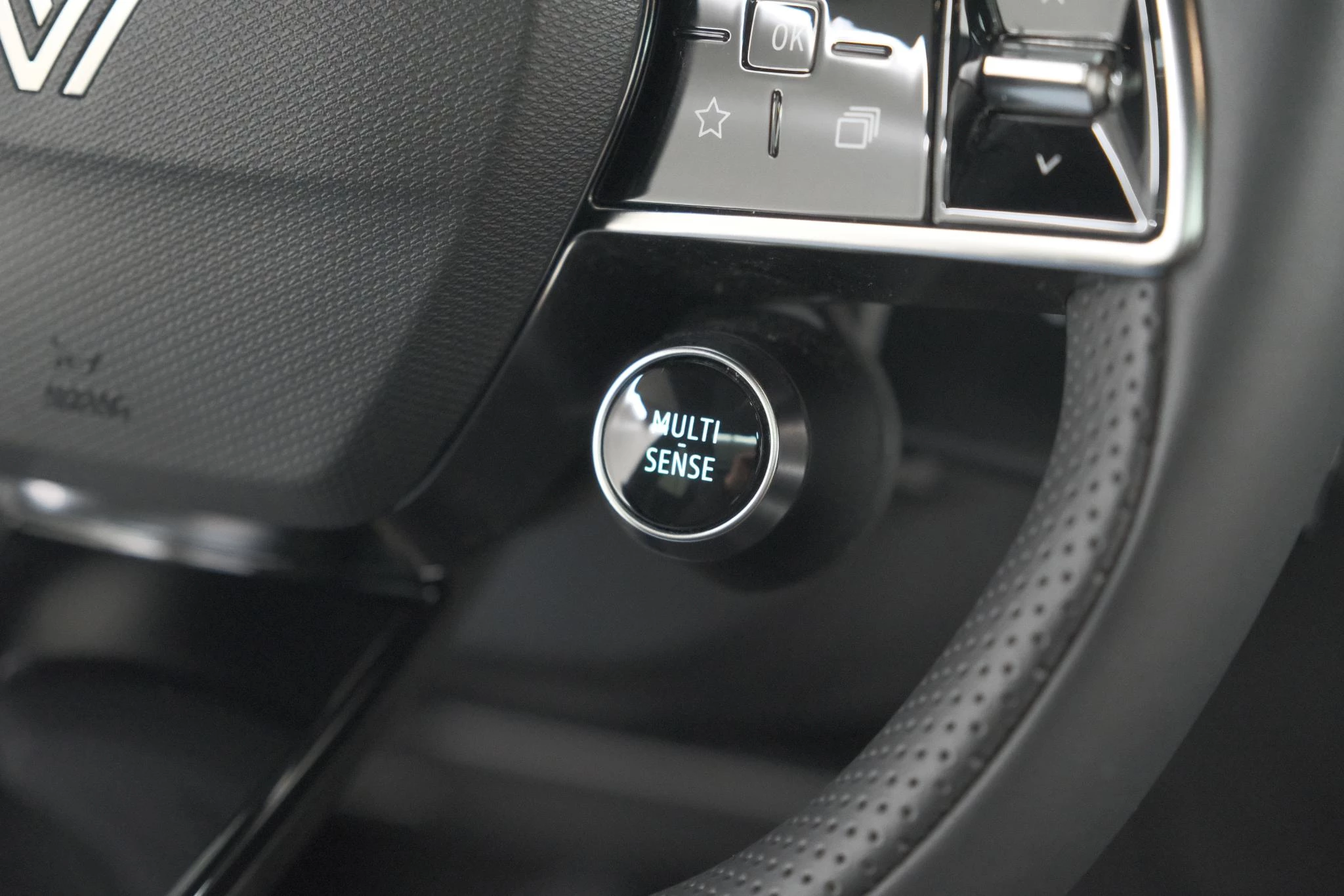 Hoofdafbeelding Renault Austral