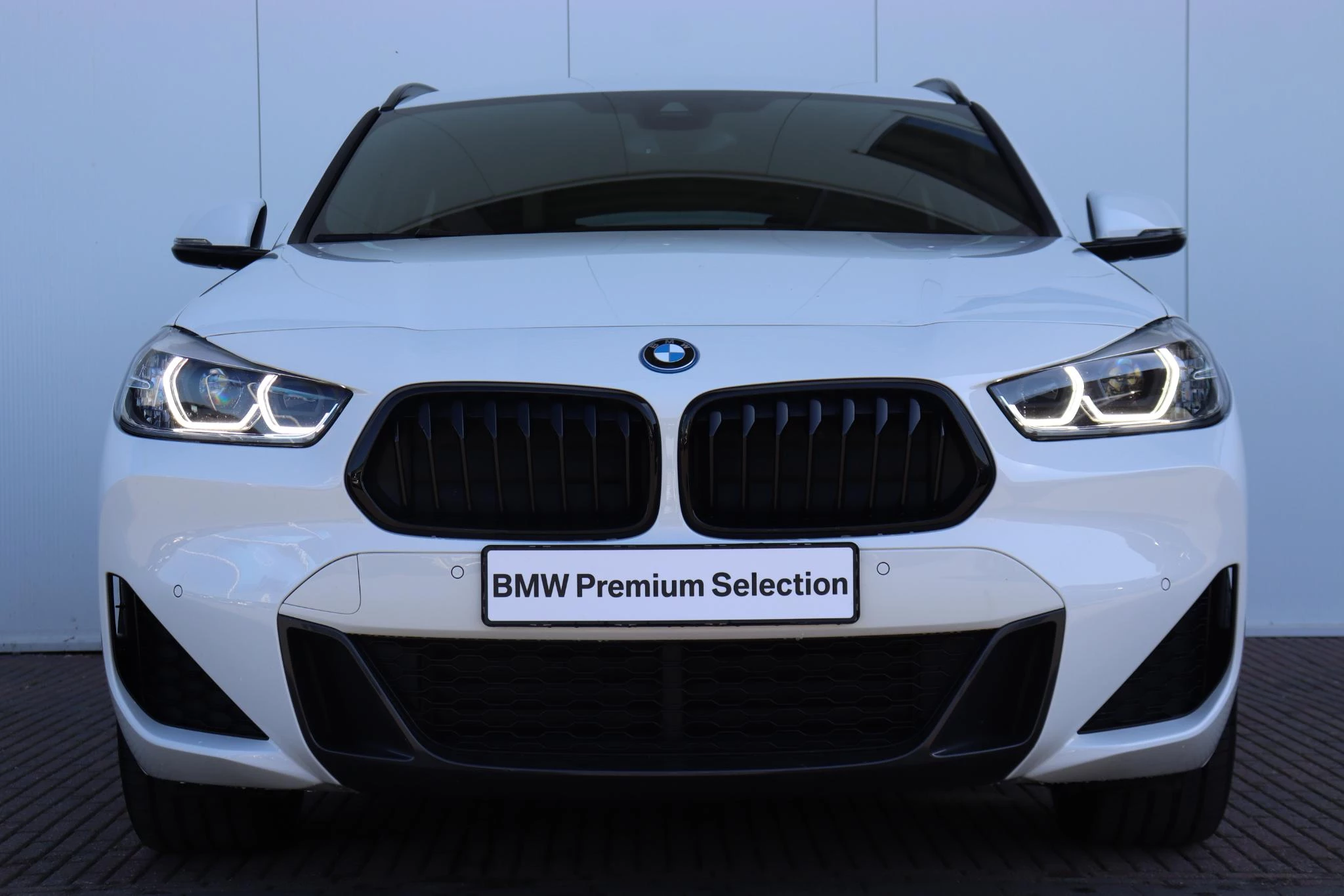 Hoofdafbeelding BMW X2