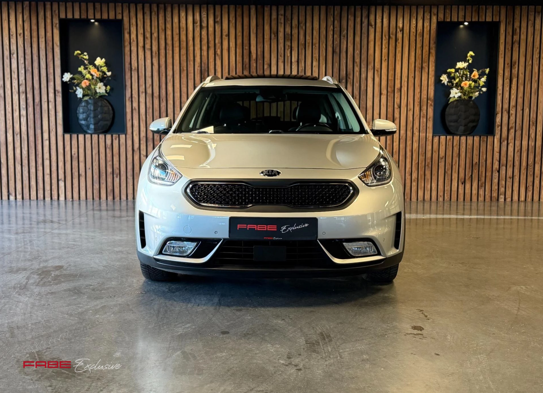 Hoofdafbeelding Kia Niro