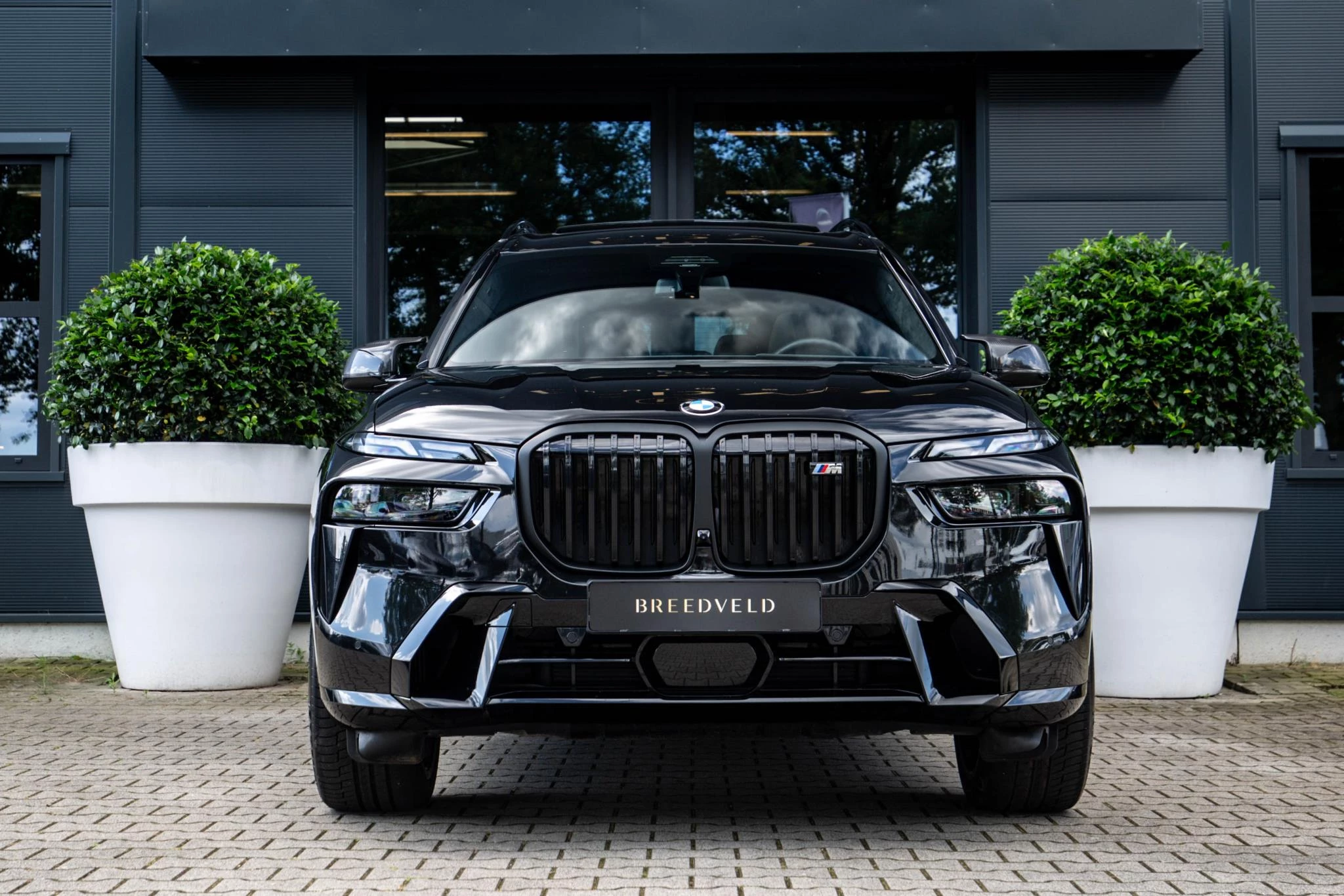 Hoofdafbeelding BMW X7