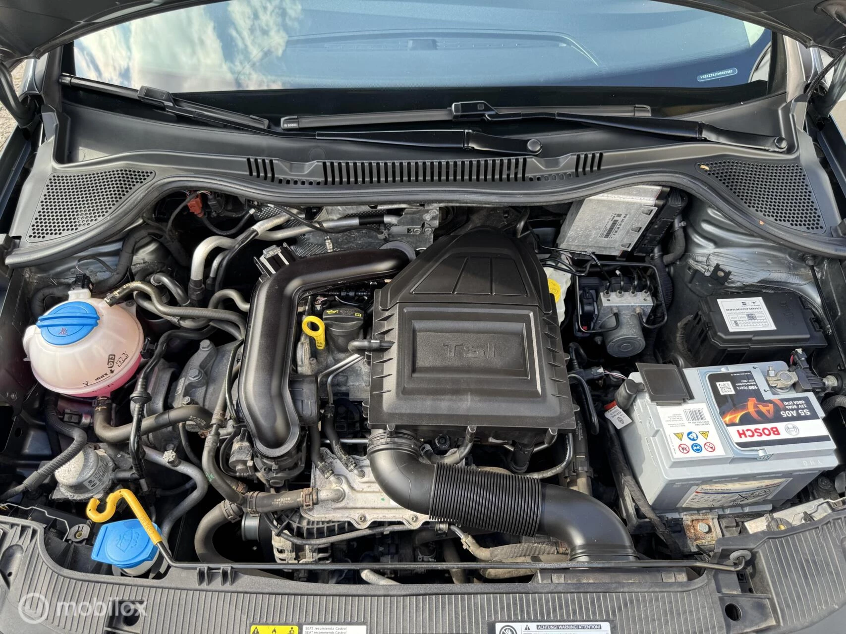 Hoofdafbeelding SEAT Ibiza