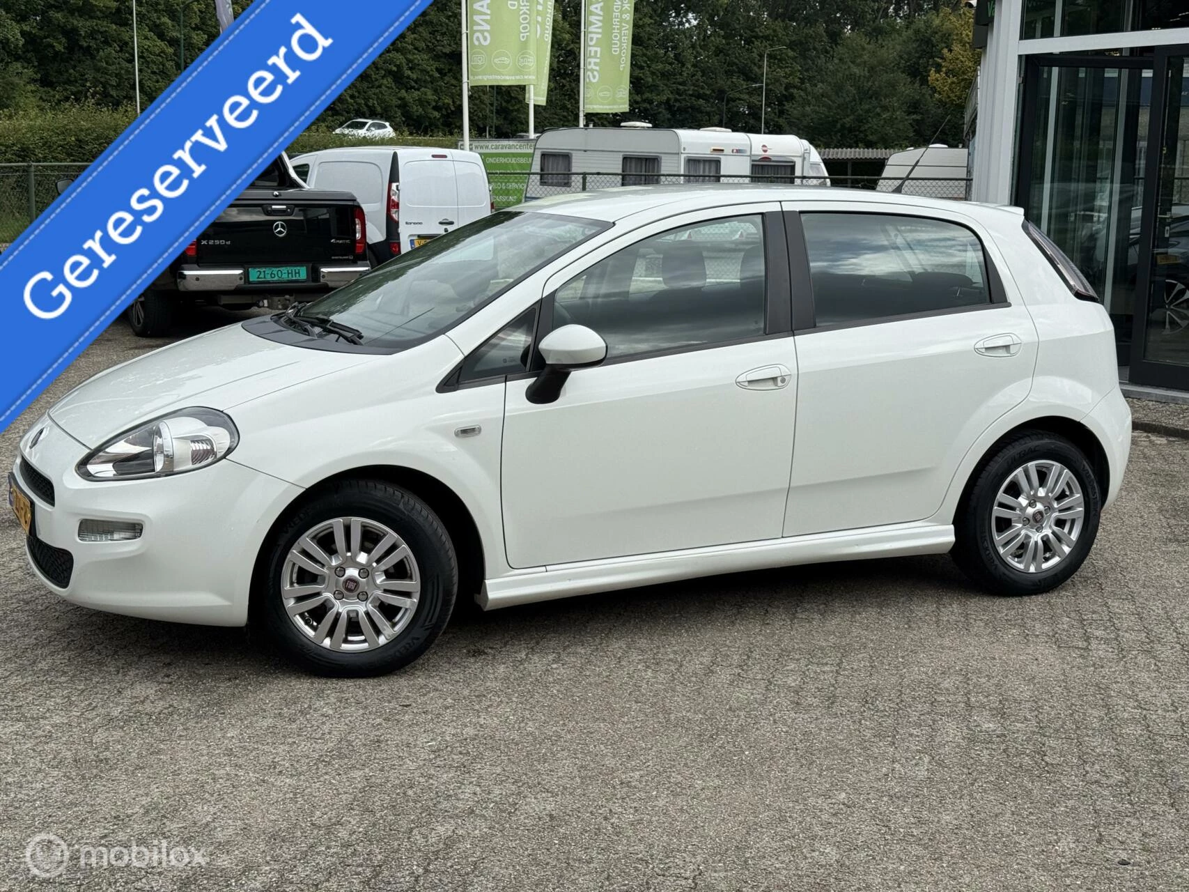 Hoofdafbeelding Fiat Punto