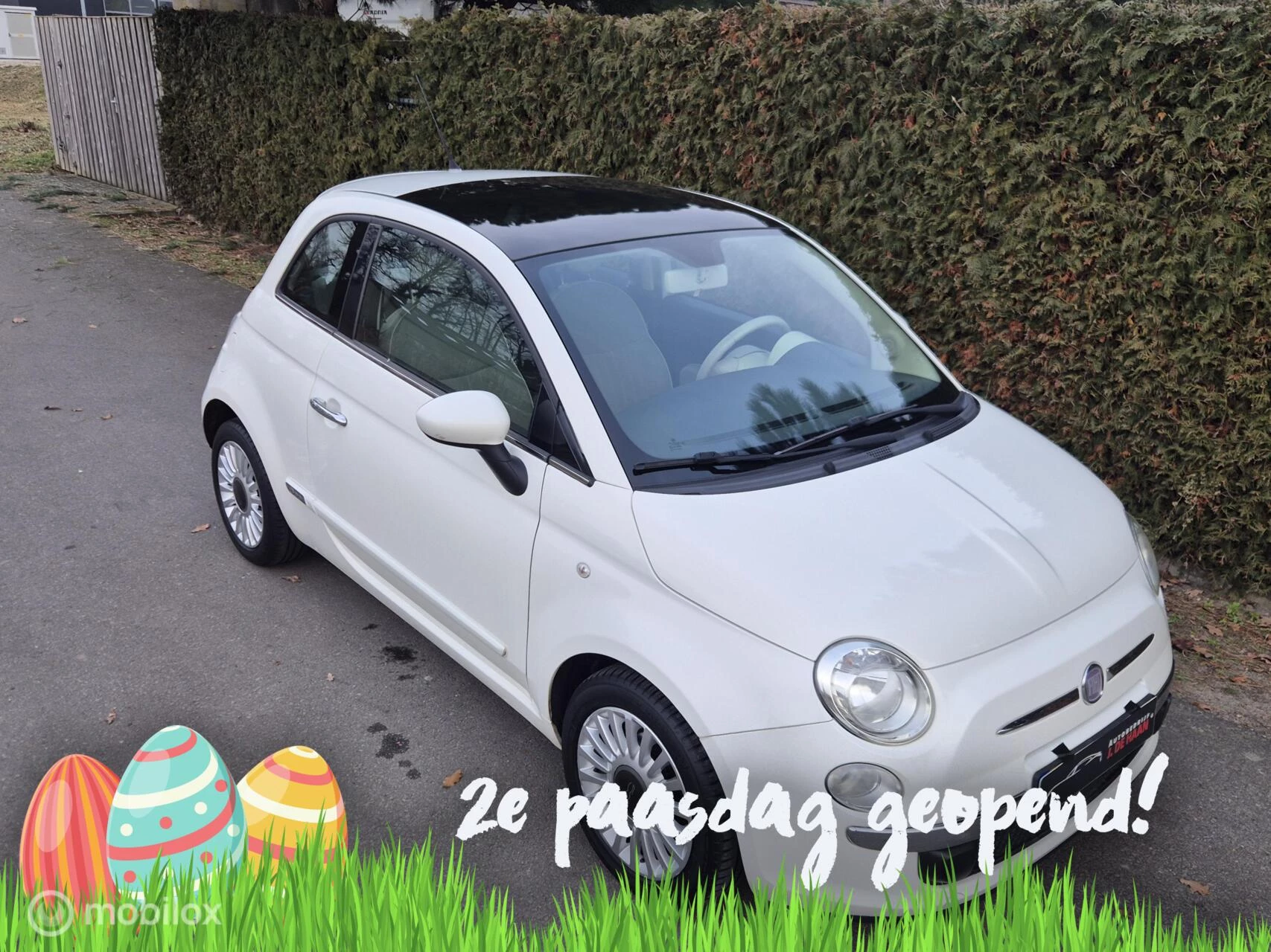 Hoofdafbeelding Fiat 500