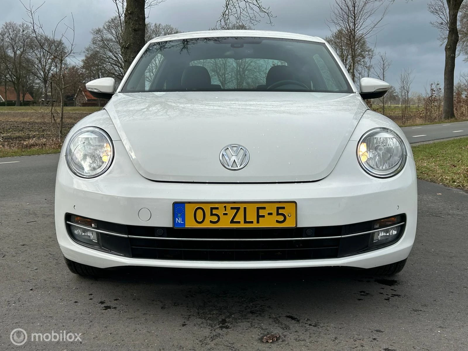 Hoofdafbeelding Volkswagen Beetle