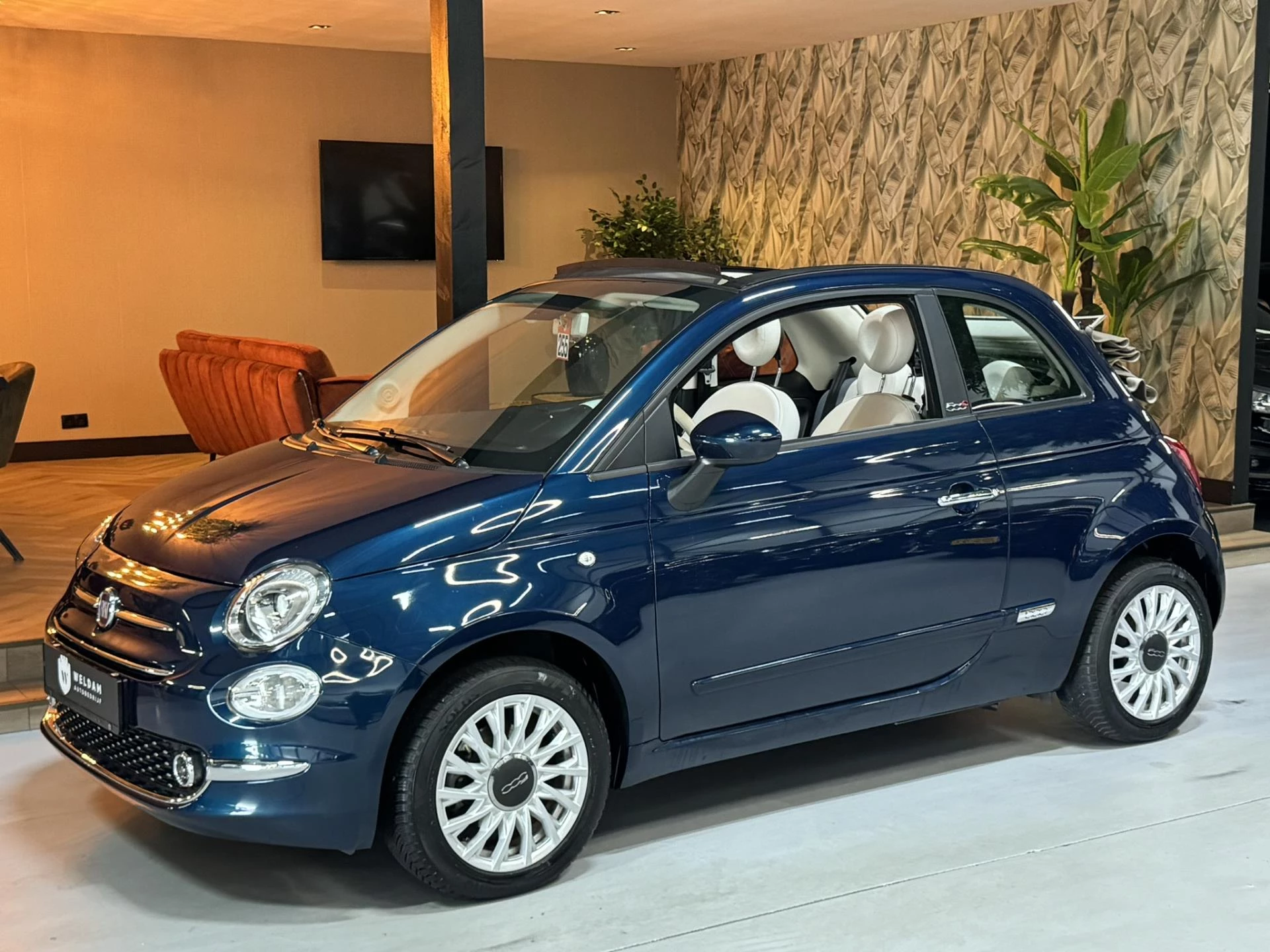 Hoofdafbeelding Fiat 500C