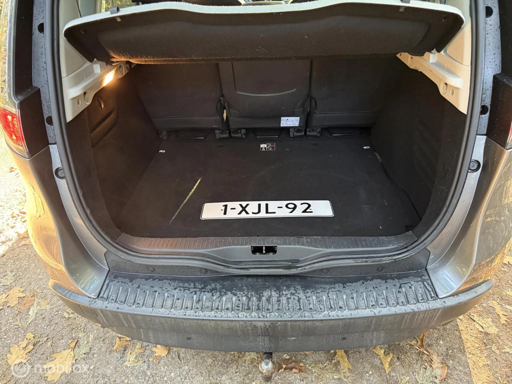 Hoofdafbeelding Renault Scénic