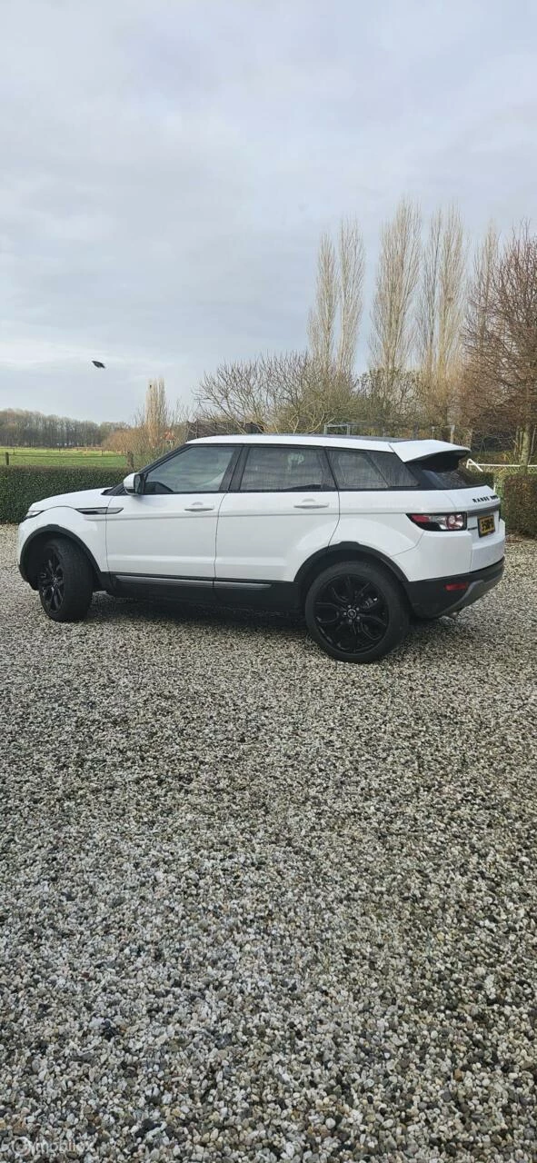 Hoofdafbeelding Land Rover Range Rover Evoque