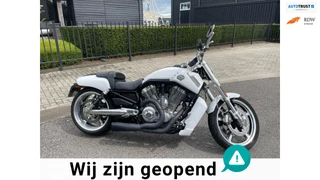 Harley Davidson Chopper VRSCF V-Rod Muscle STAGE.1 Vance & Hines Nl Geleverd 1e eigenaar