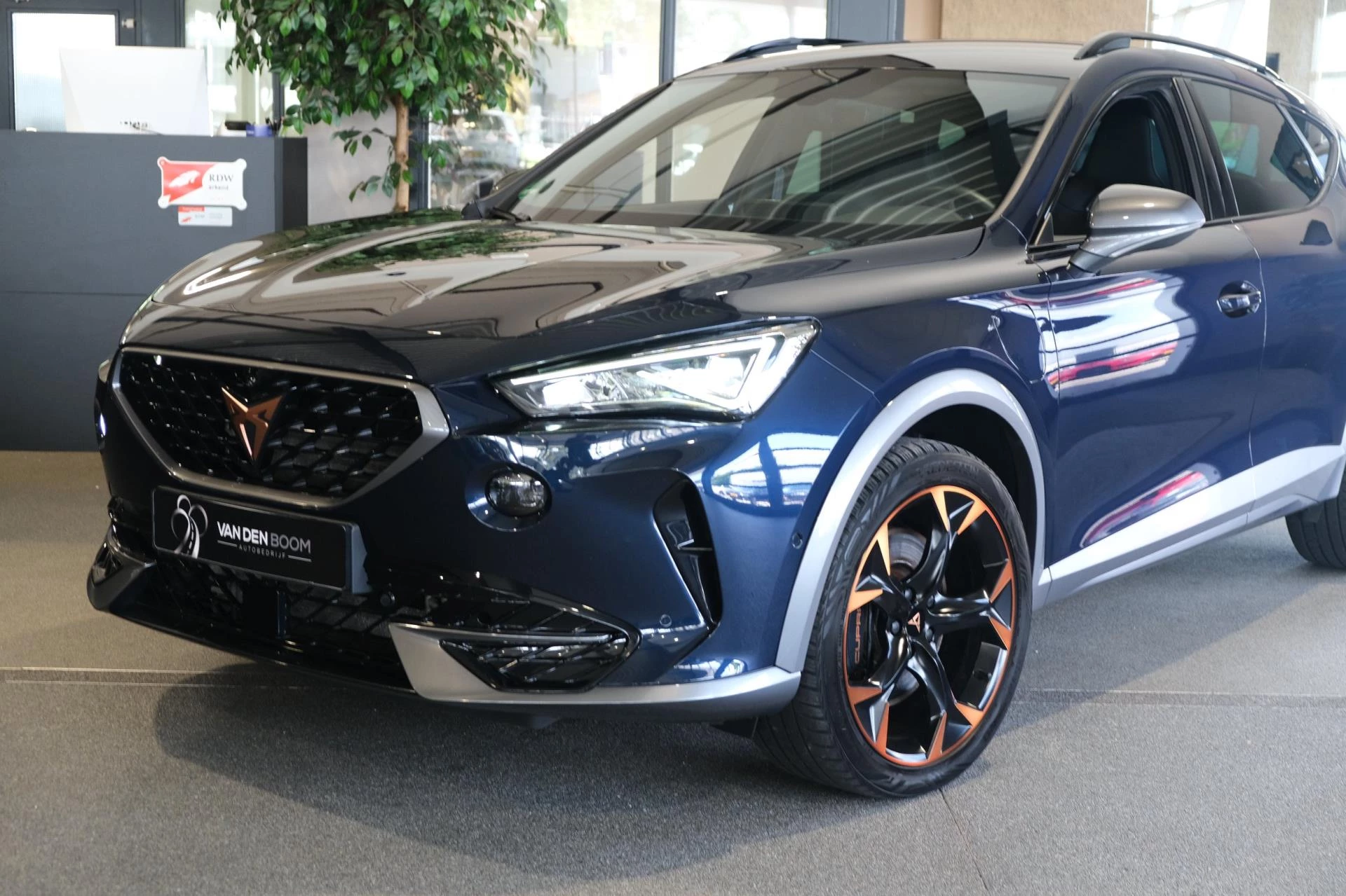 Hoofdafbeelding CUPRA Formentor