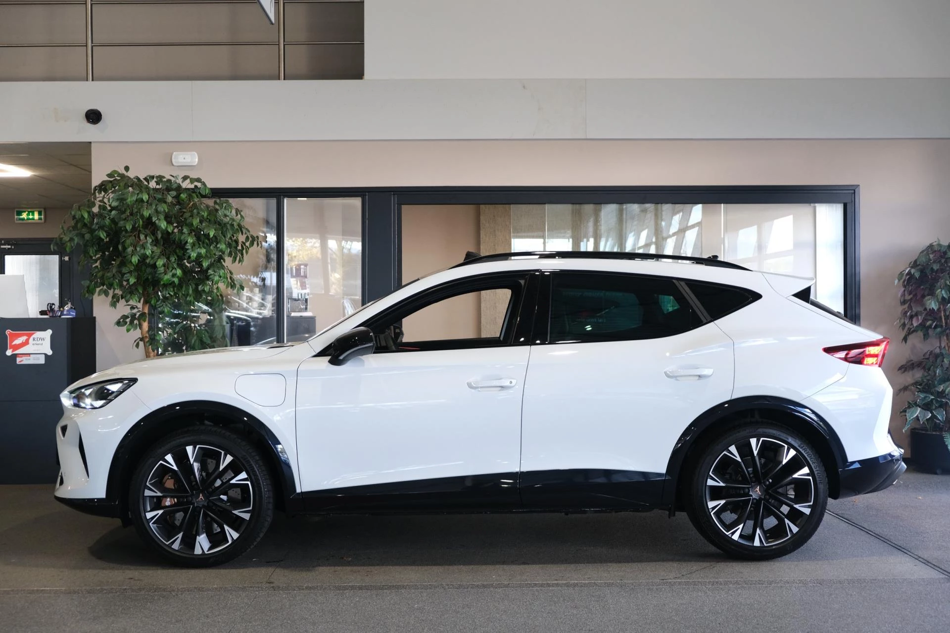 Hoofdafbeelding CUPRA Formentor