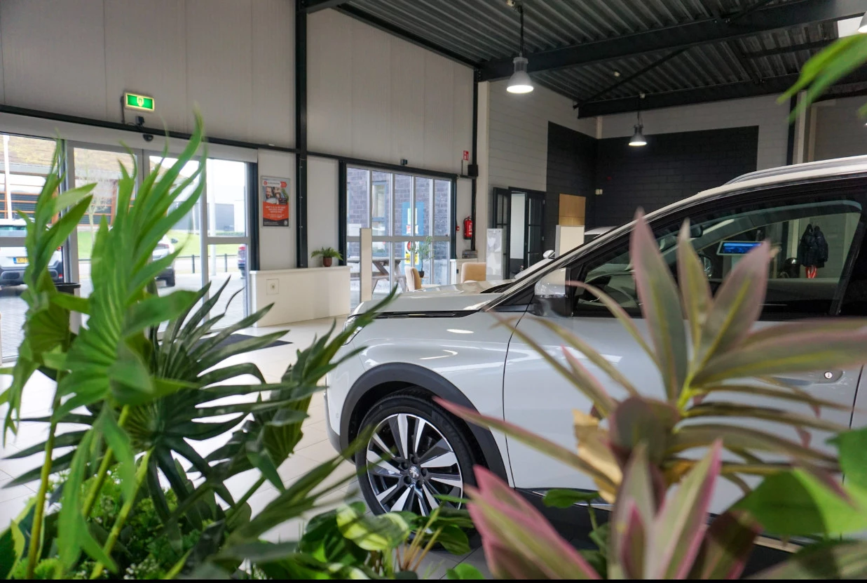 Hoofdafbeelding Citroën C3 Aircross