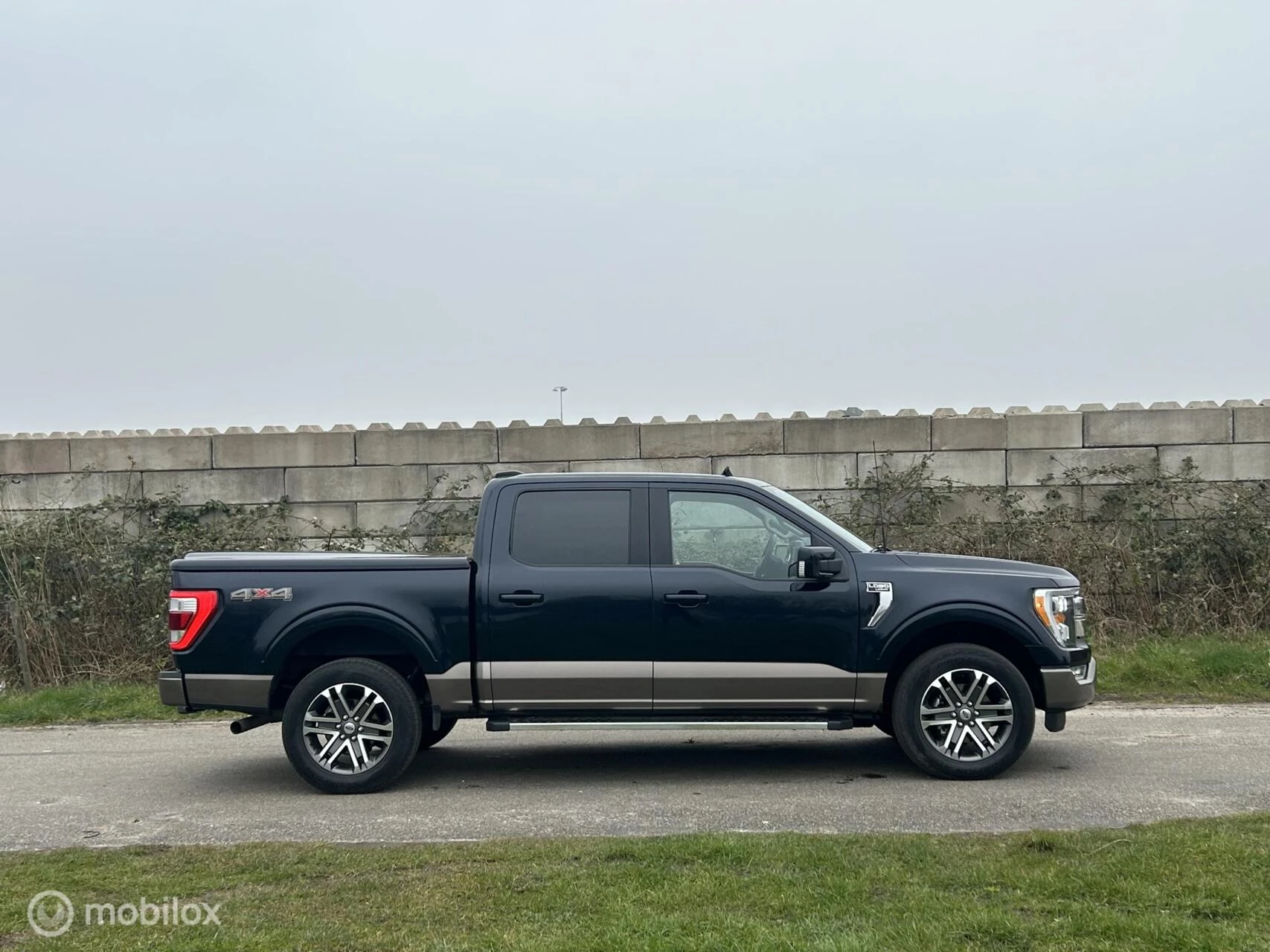 Hoofdafbeelding Ford F-150