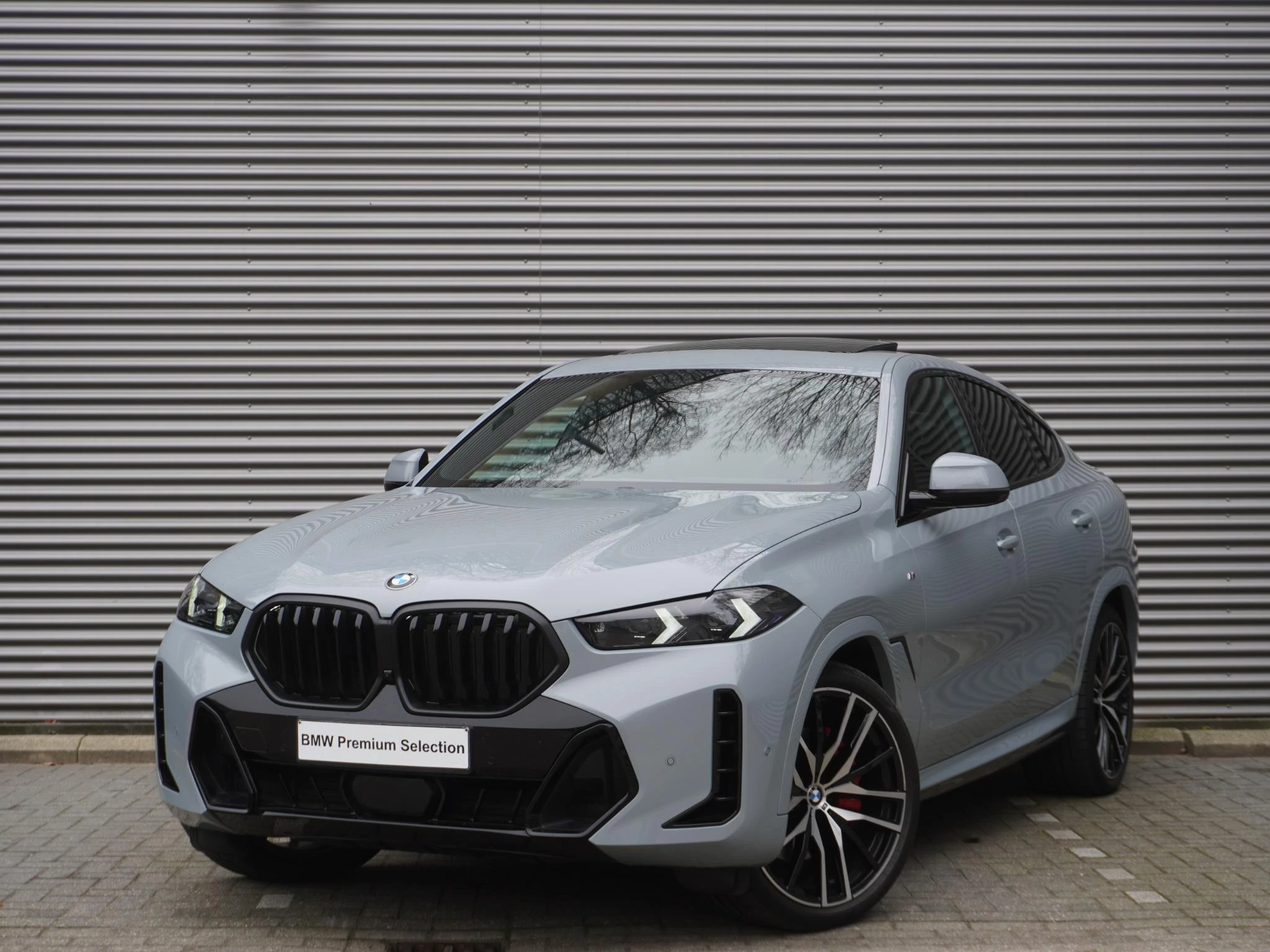 Hoofdafbeelding BMW X6