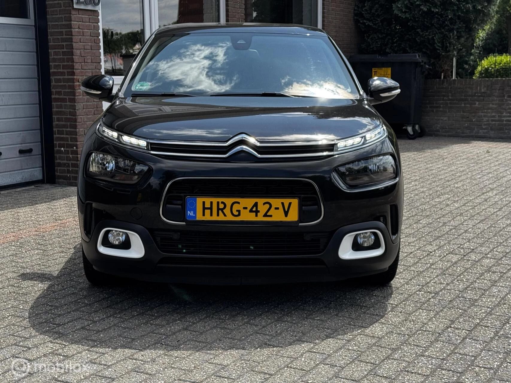 Hoofdafbeelding Citroën C4 Cactus