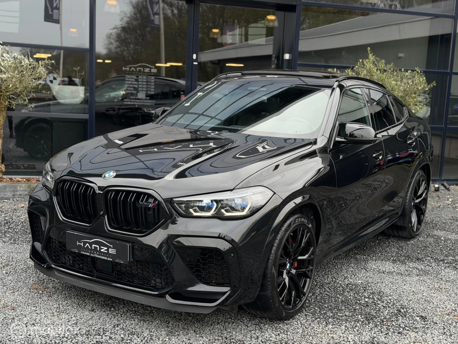 Hoofdafbeelding BMW X6