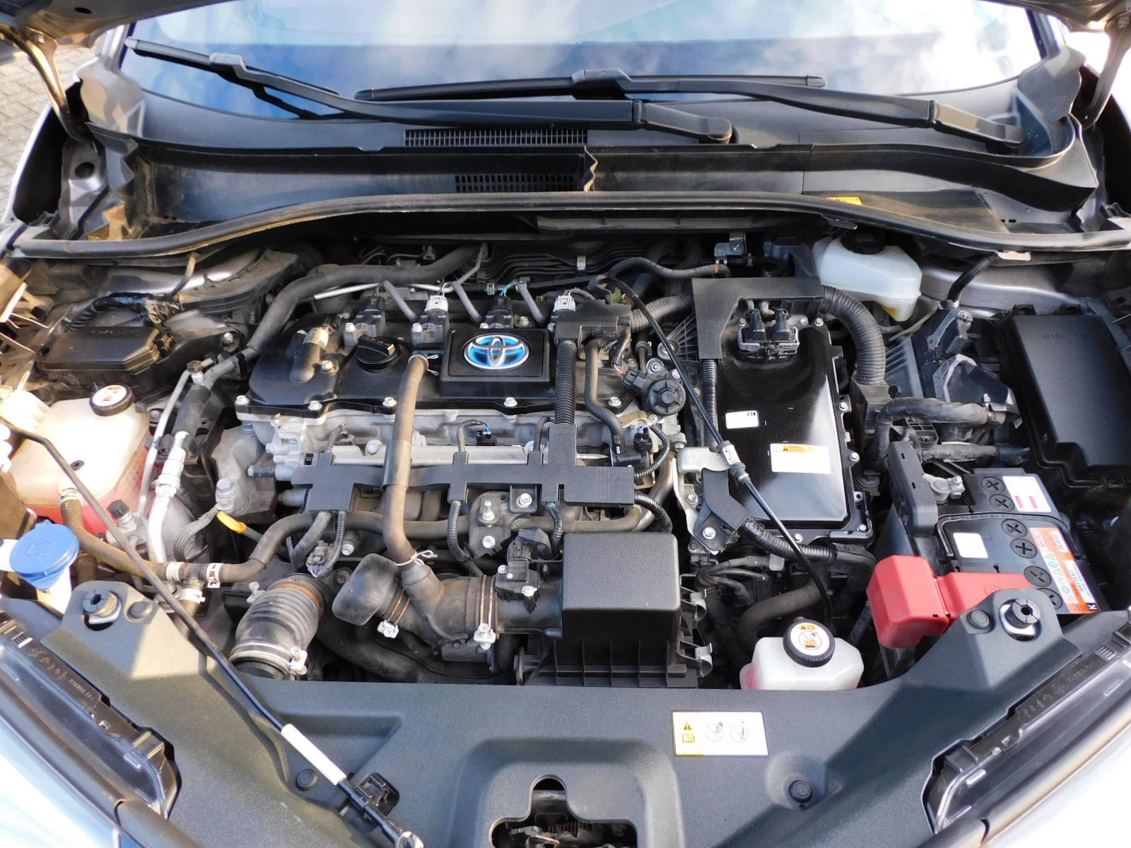 Hoofdafbeelding Toyota C-HR