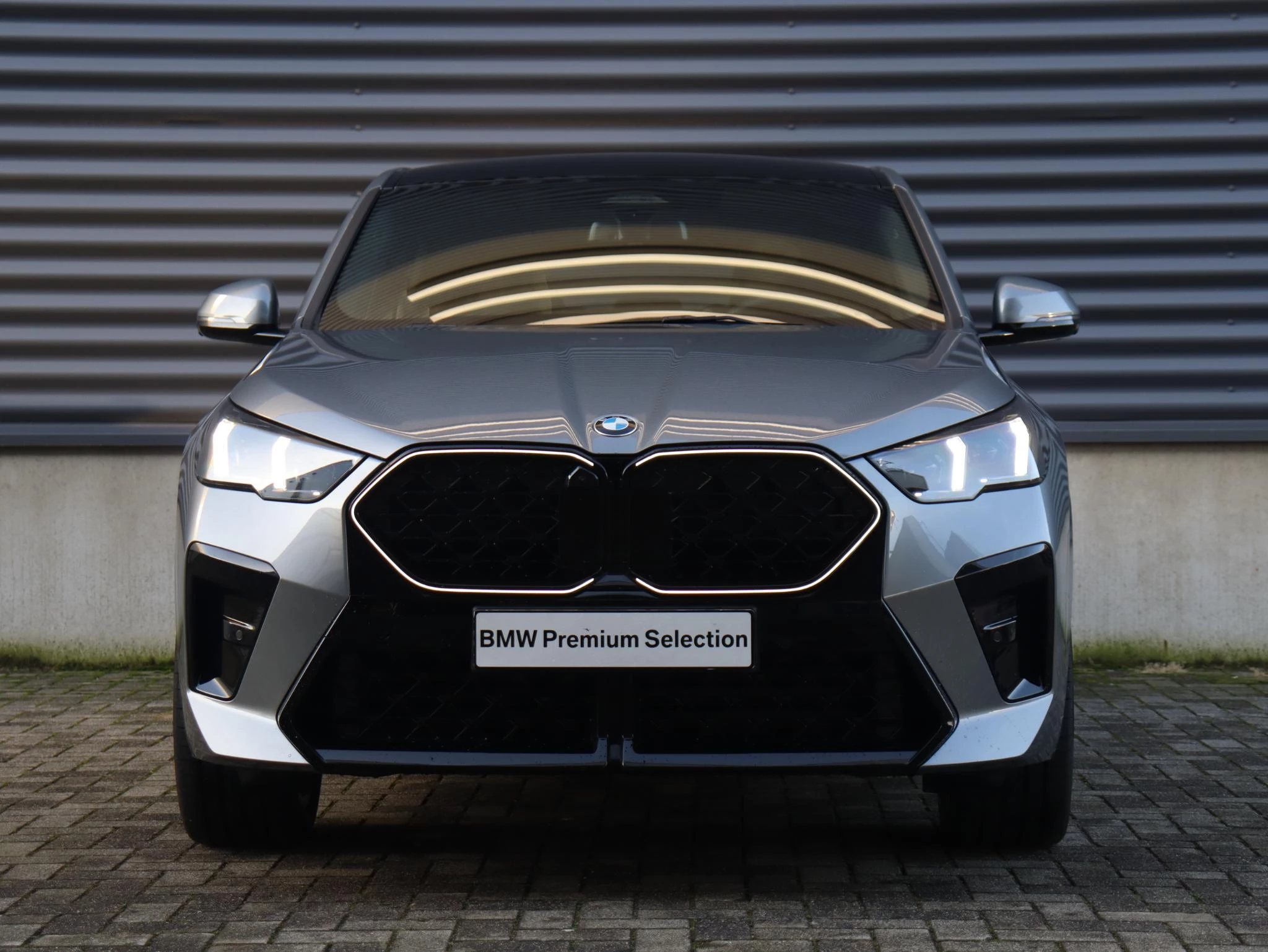 Hoofdafbeelding BMW X2