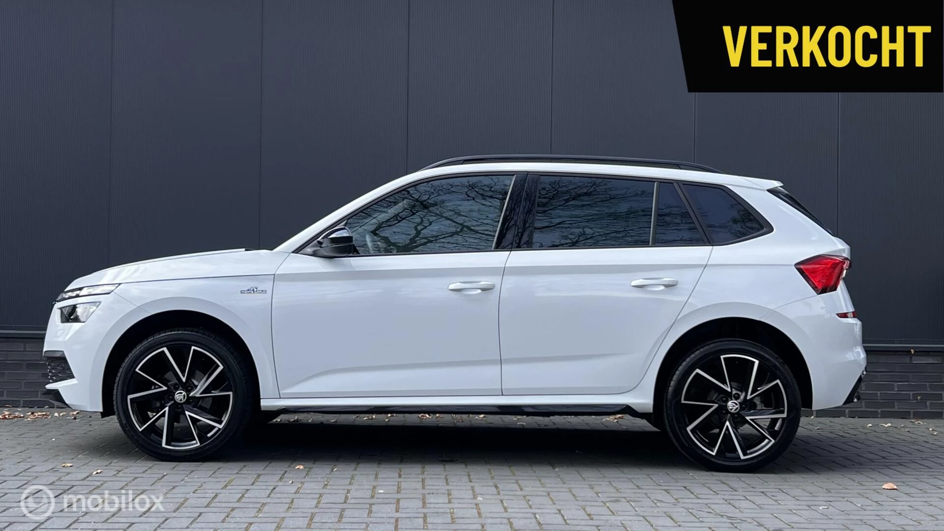 Hoofdafbeelding Škoda Kamiq