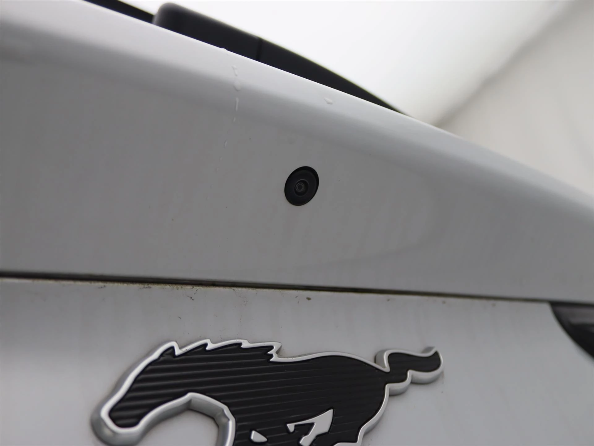 Hoofdafbeelding Ford Mustang Mach-E