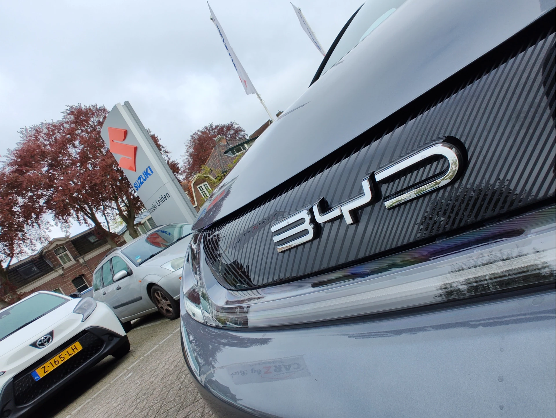 Hoofdafbeelding BYD DOLPHIN