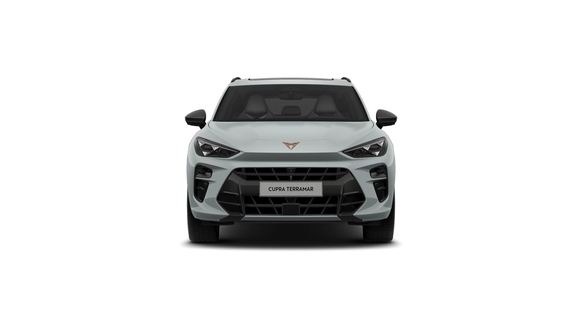 Hoofdafbeelding CUPRA Terramar