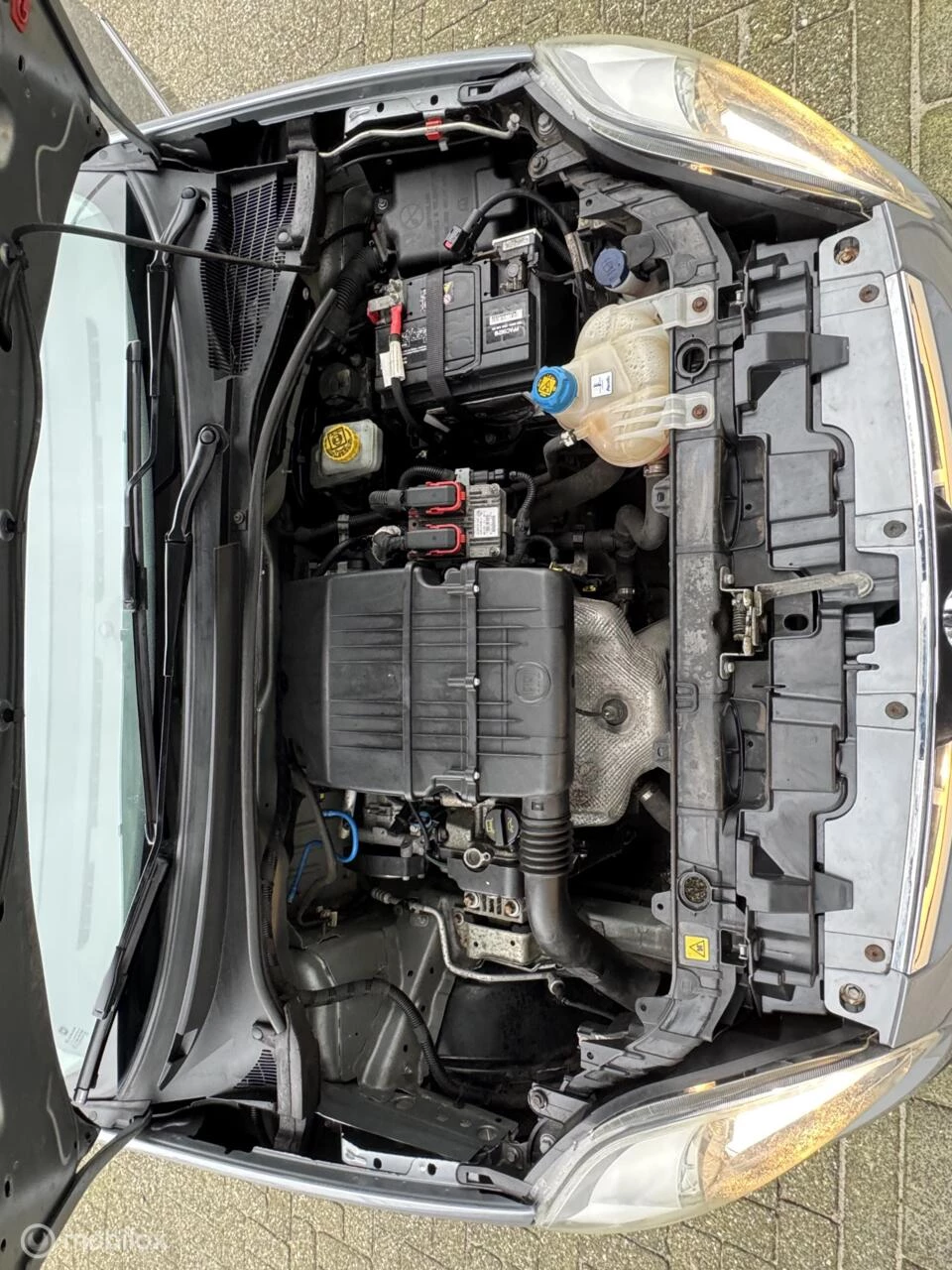 Hoofdafbeelding Fiat Punto