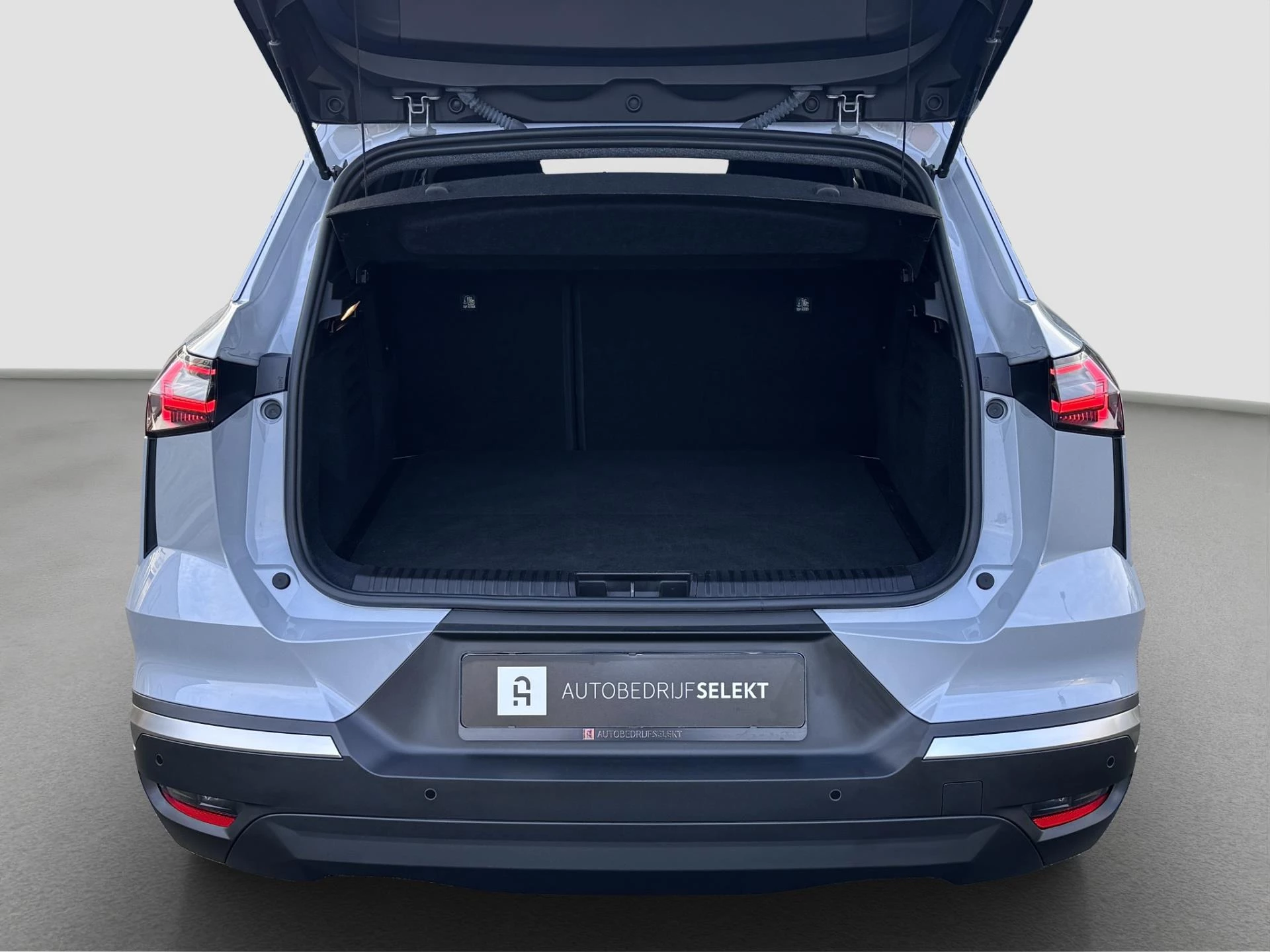 Hoofdafbeelding Renault Symbioz