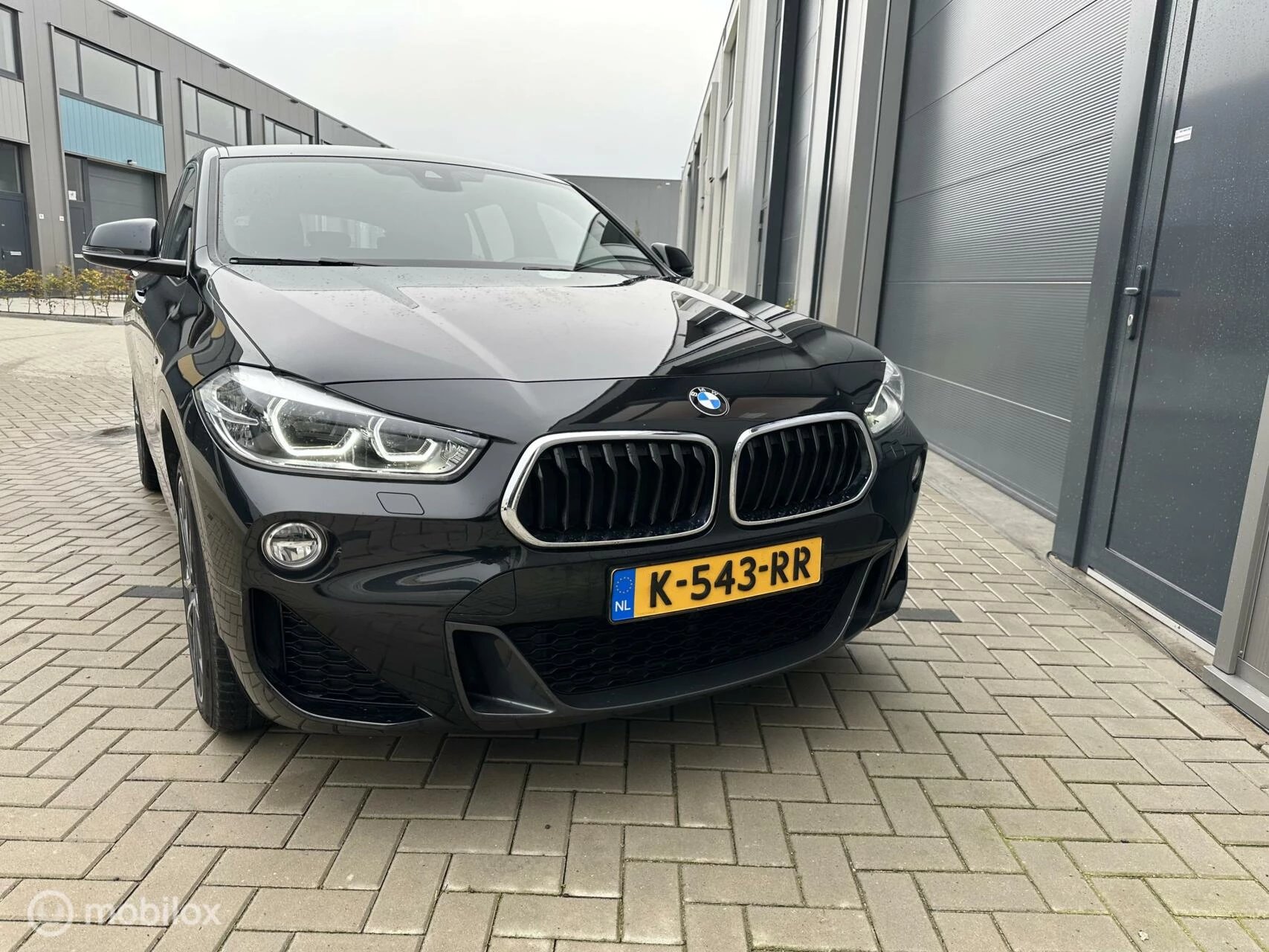 Hoofdafbeelding BMW X2