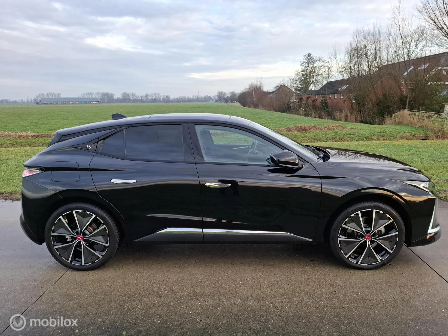 Hoofdafbeelding DS DS 4