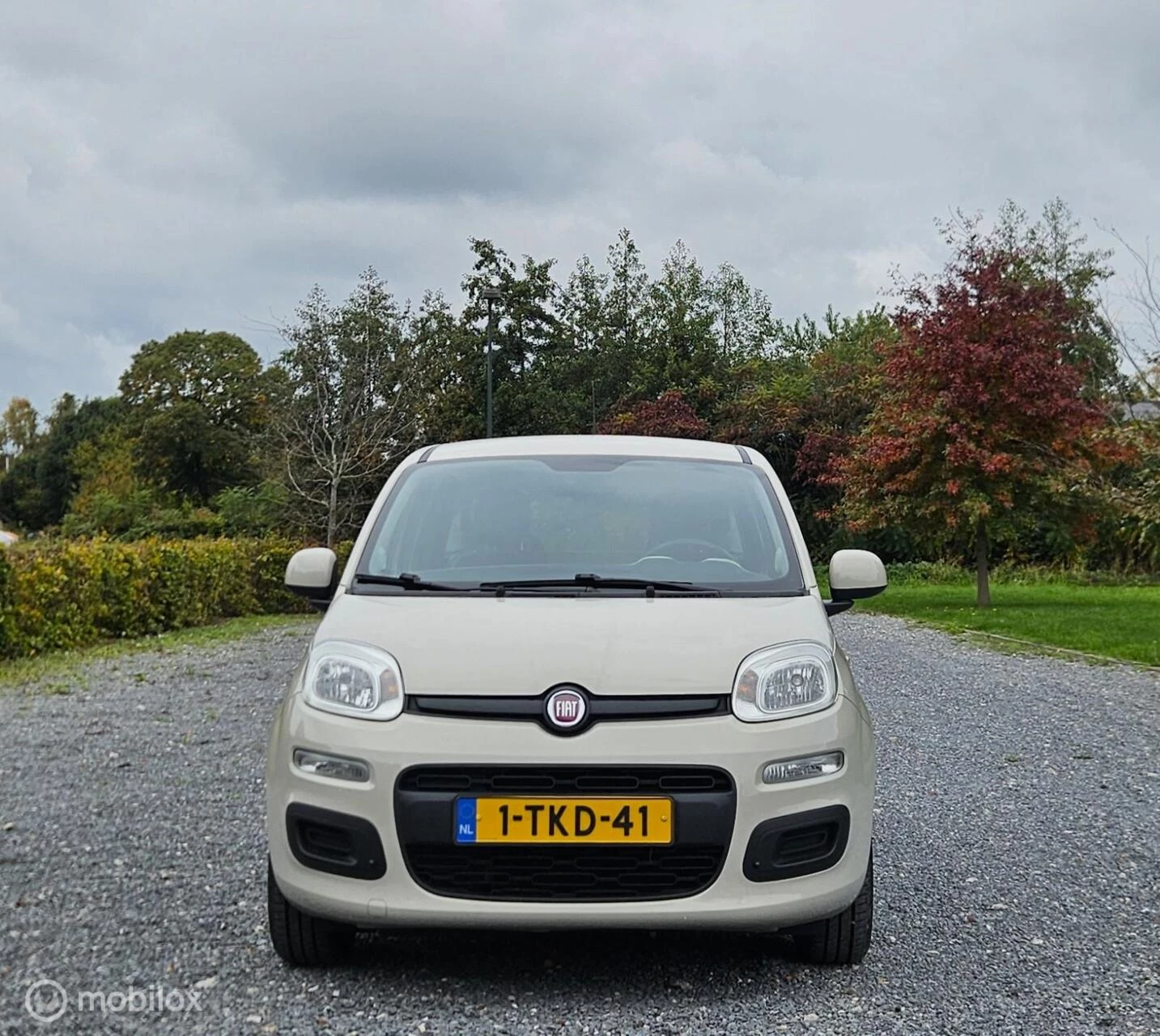 Hoofdafbeelding Fiat Panda
