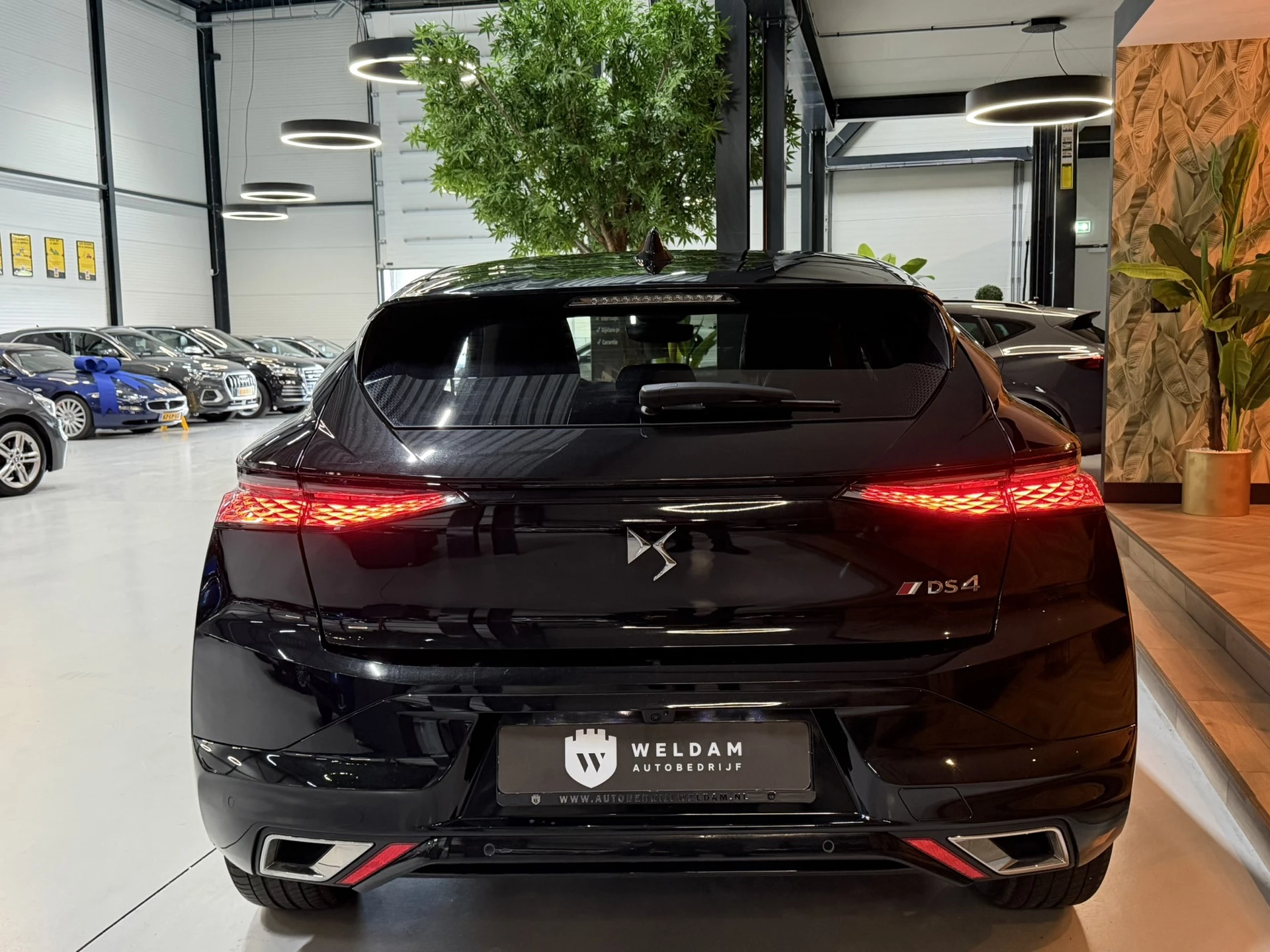 Hoofdafbeelding DS DS 4
